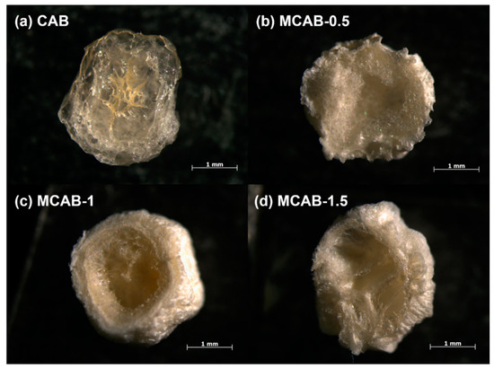 Mercury Adsorption by Ca-Based Shell-Type Polymers Synthesized by Self ...