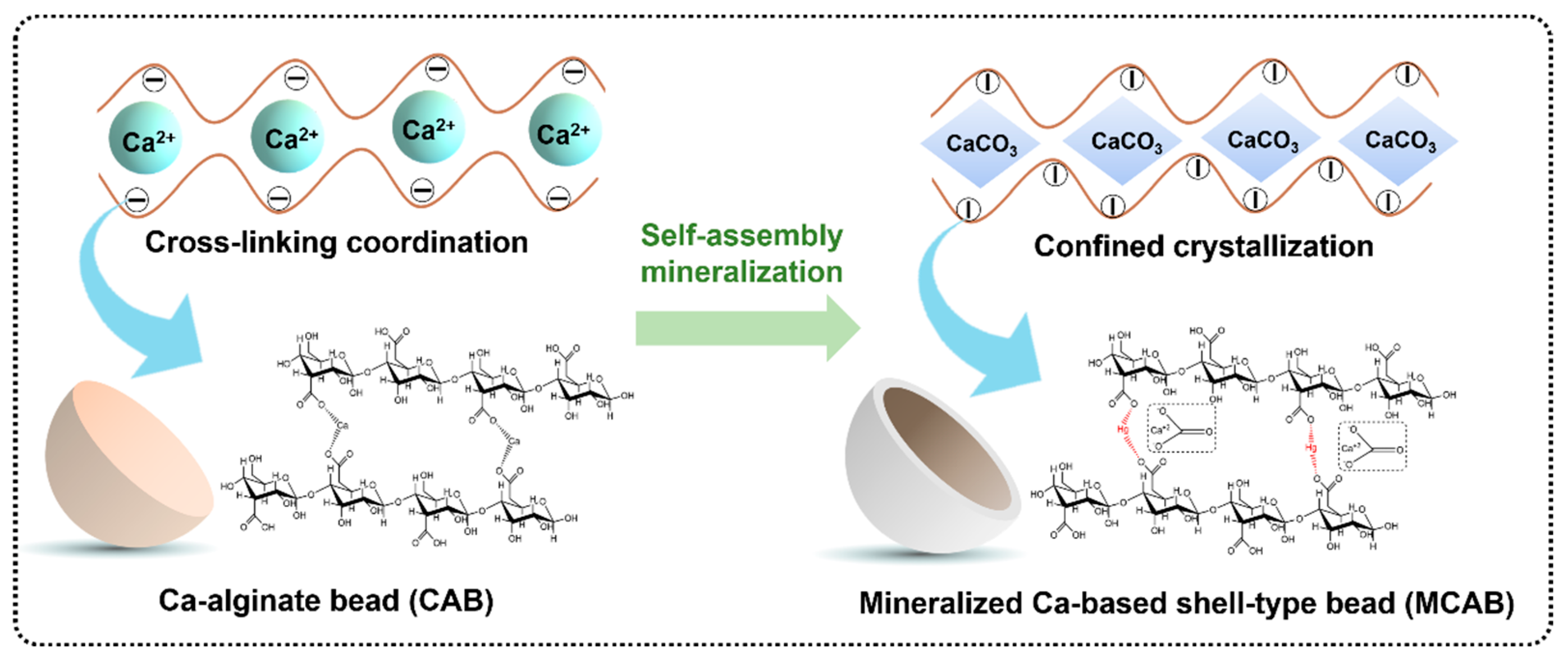 Polymers 16 03454 g011 Polymers 16 03454 g011