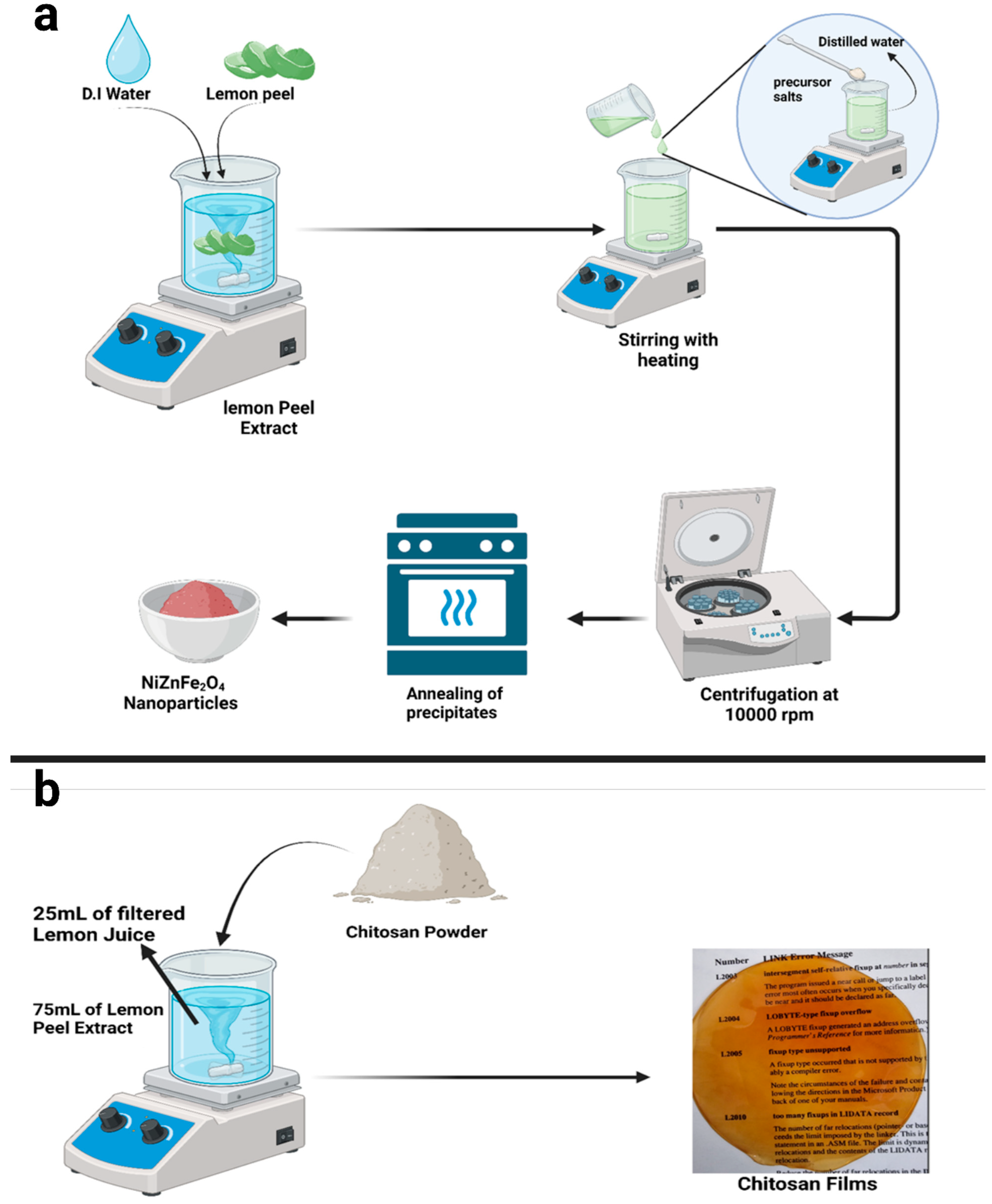 Polymers 16 03455 g001