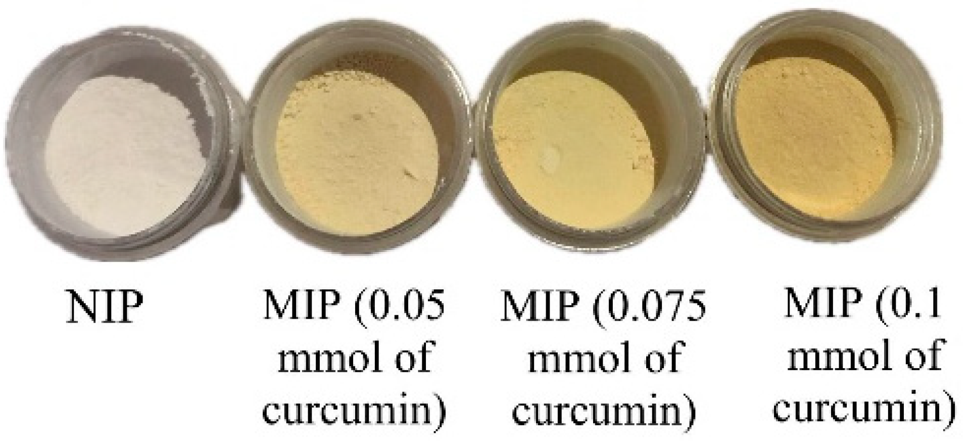 Polymers 16 03456 g002