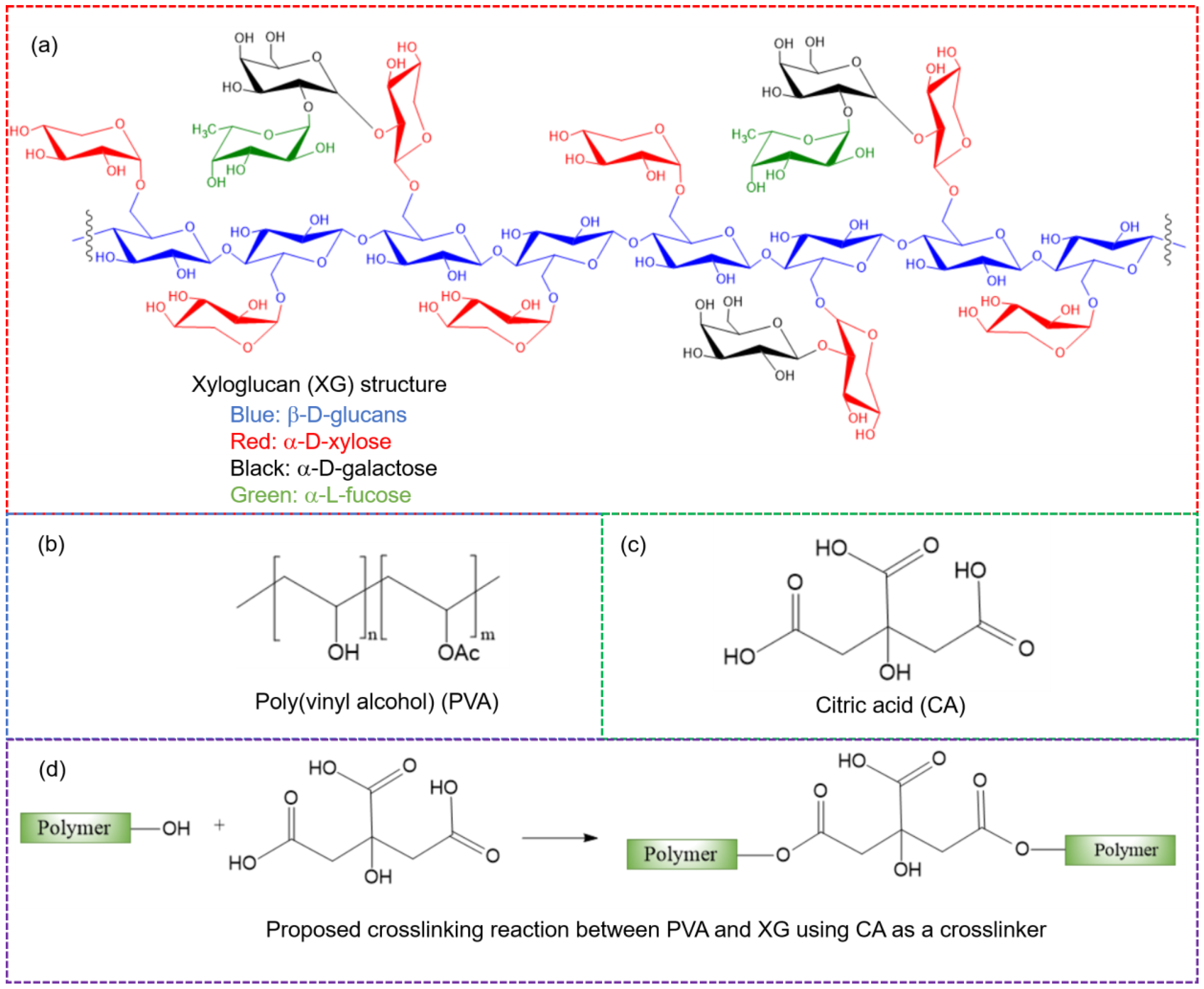 Polymers 16 03457 g001