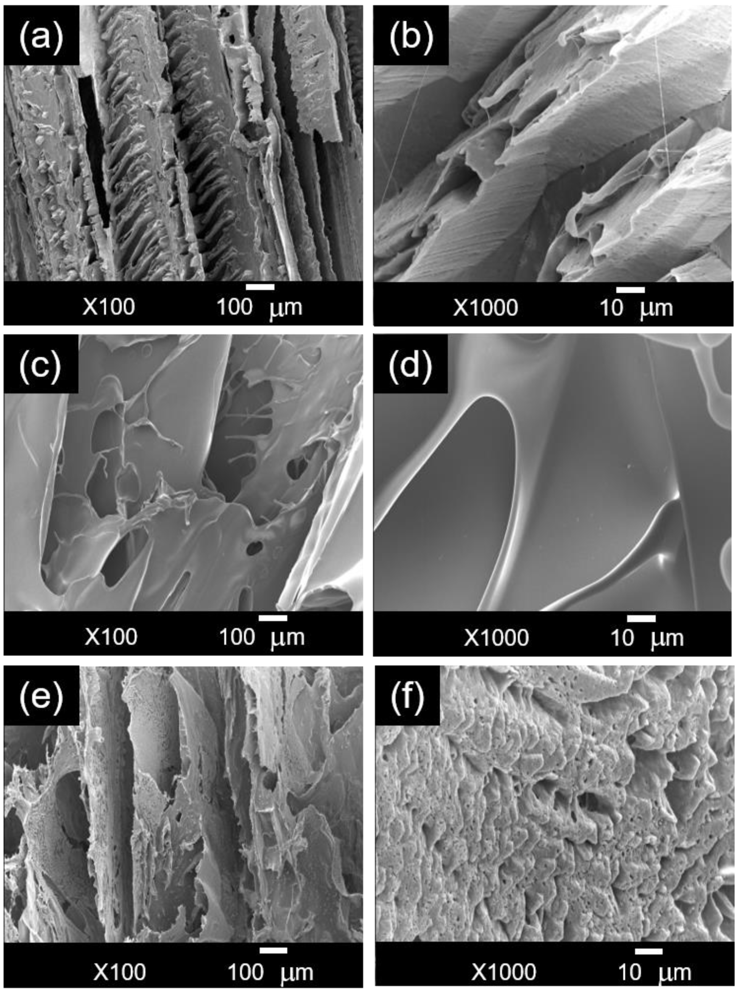 Polymers 16 03457 g003
