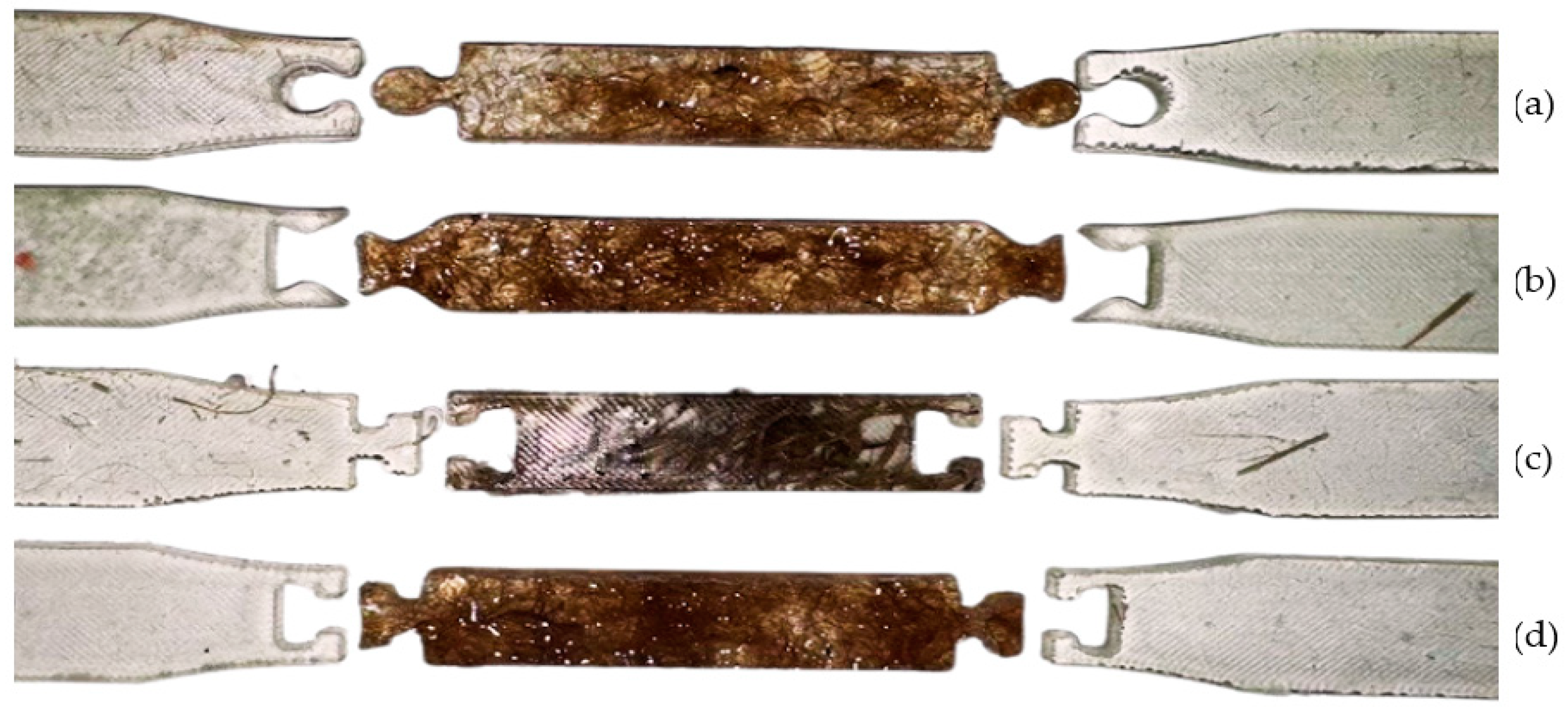 Polymers 16 03458 g004