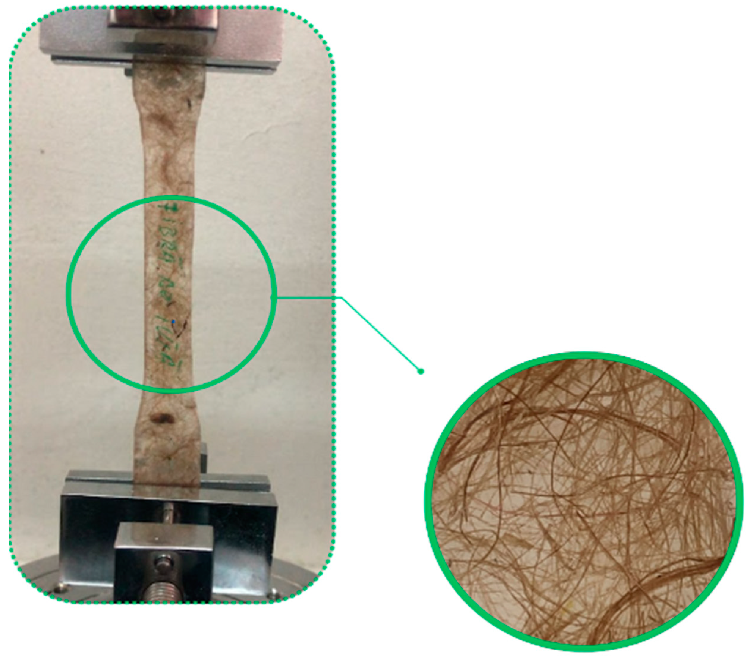 Polymers 16 03458 g007