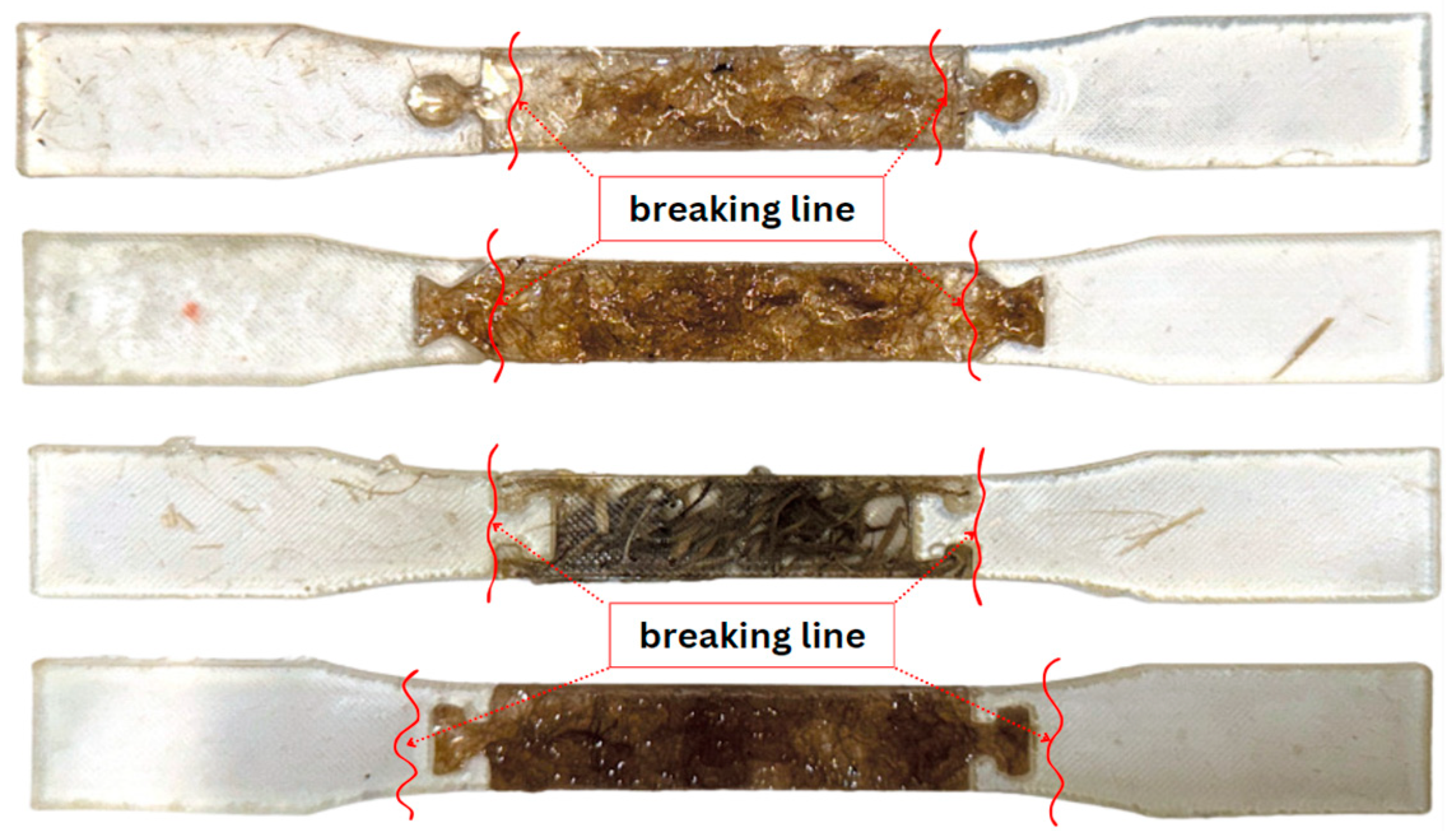 Polymers 16 03458 g010