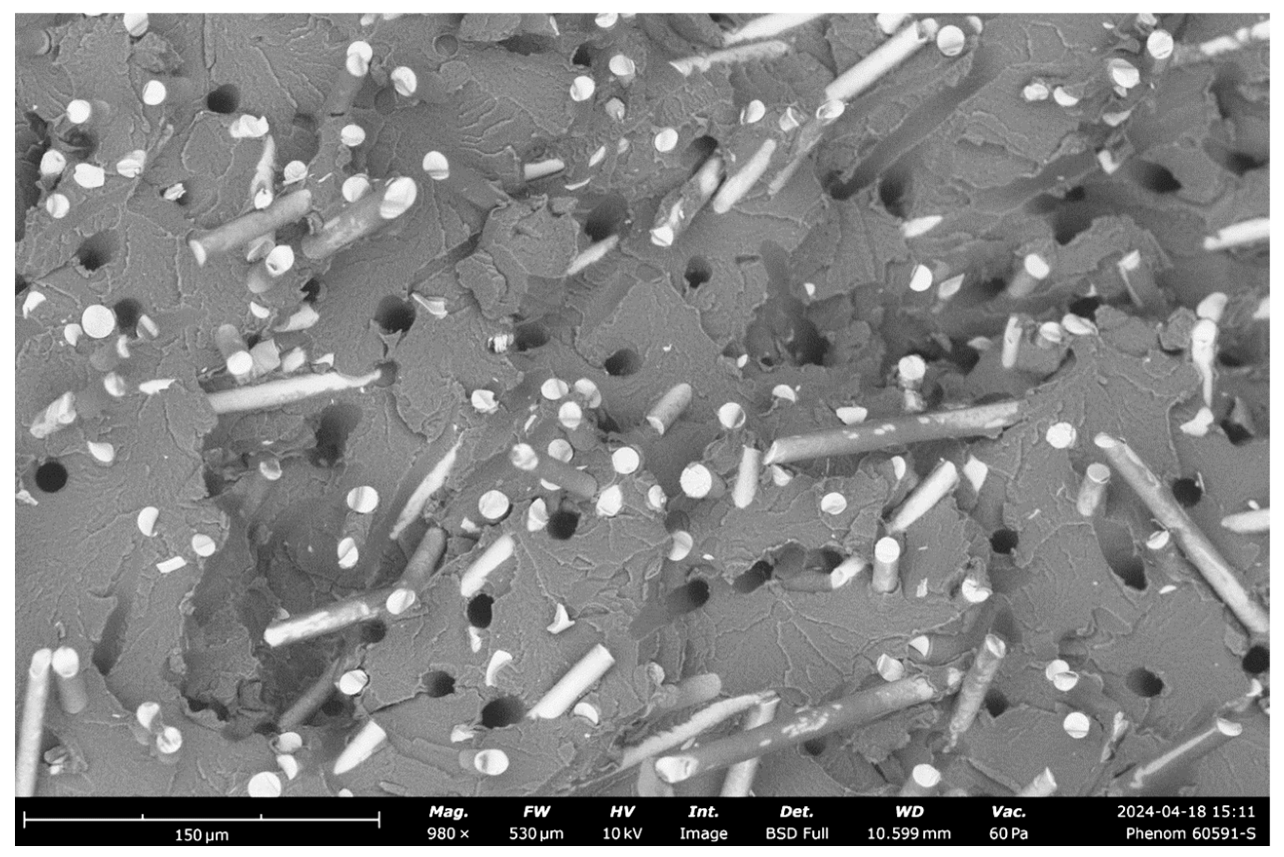 Polymers 16 03458 g011