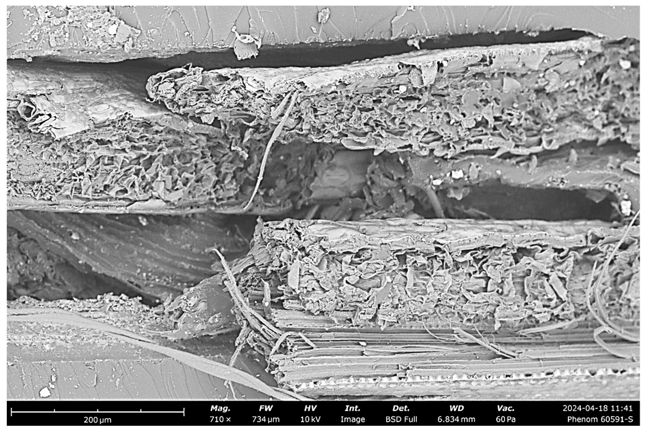 Polymers 16 03458 g012