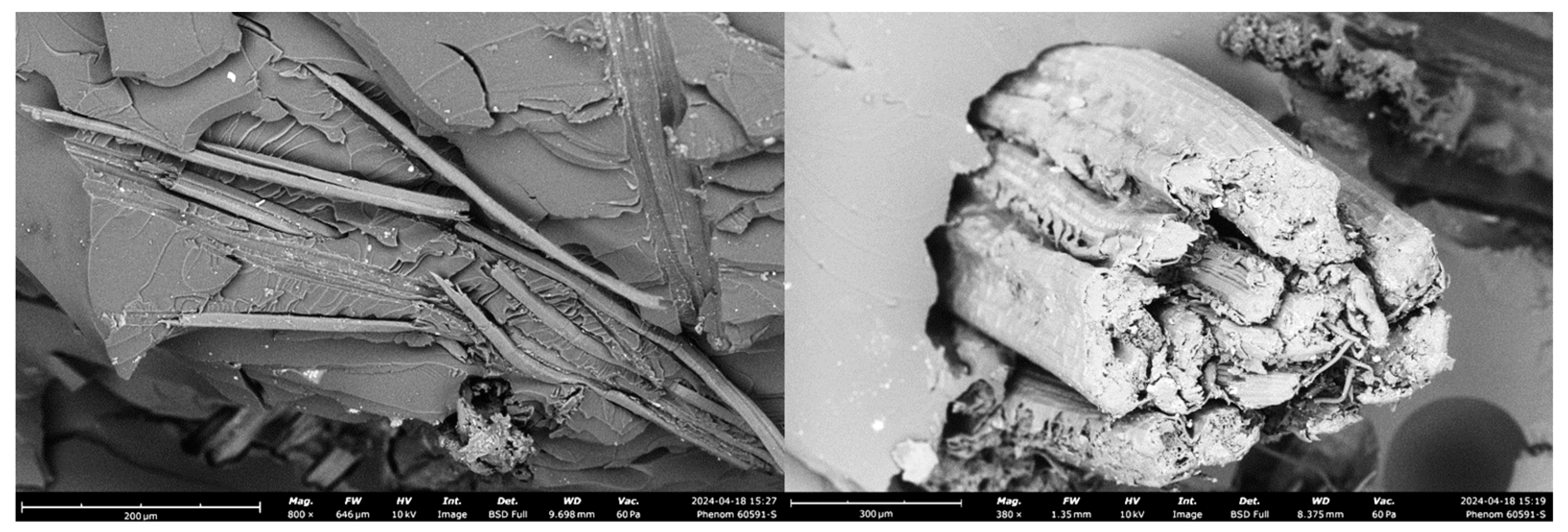 Polymers 16 03458 g013