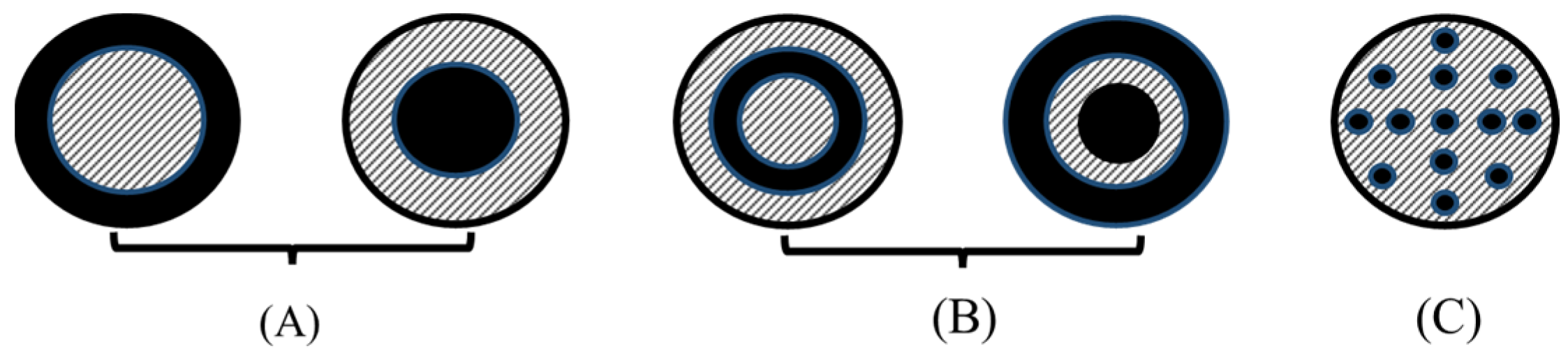 Polymers 16 03460 g001