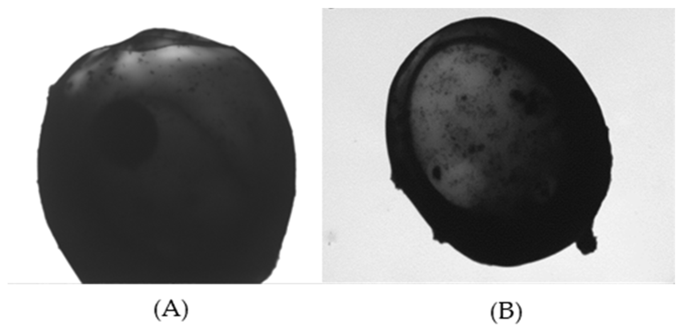 Polymers 16 03460 g005