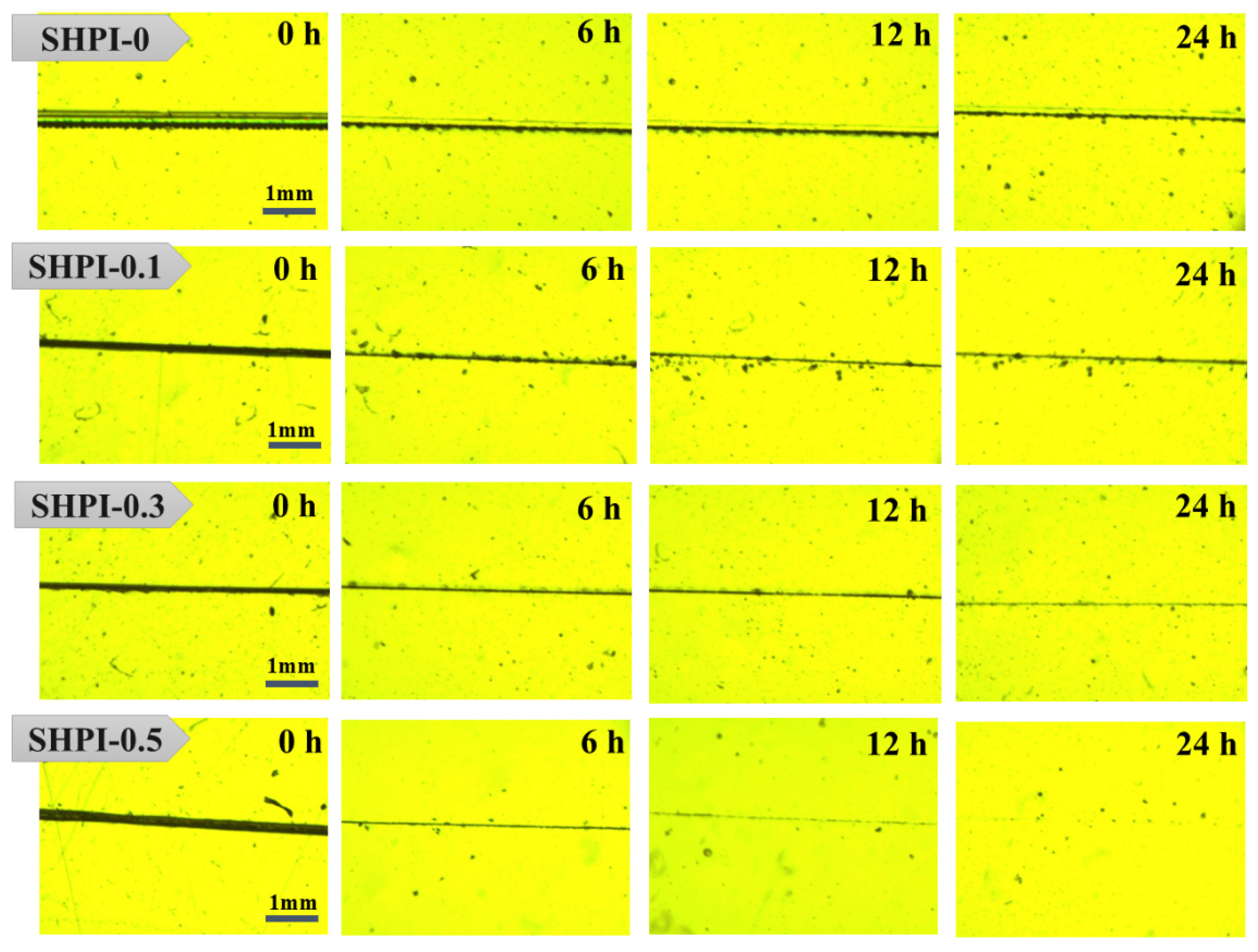Polymers 16 03461 g004