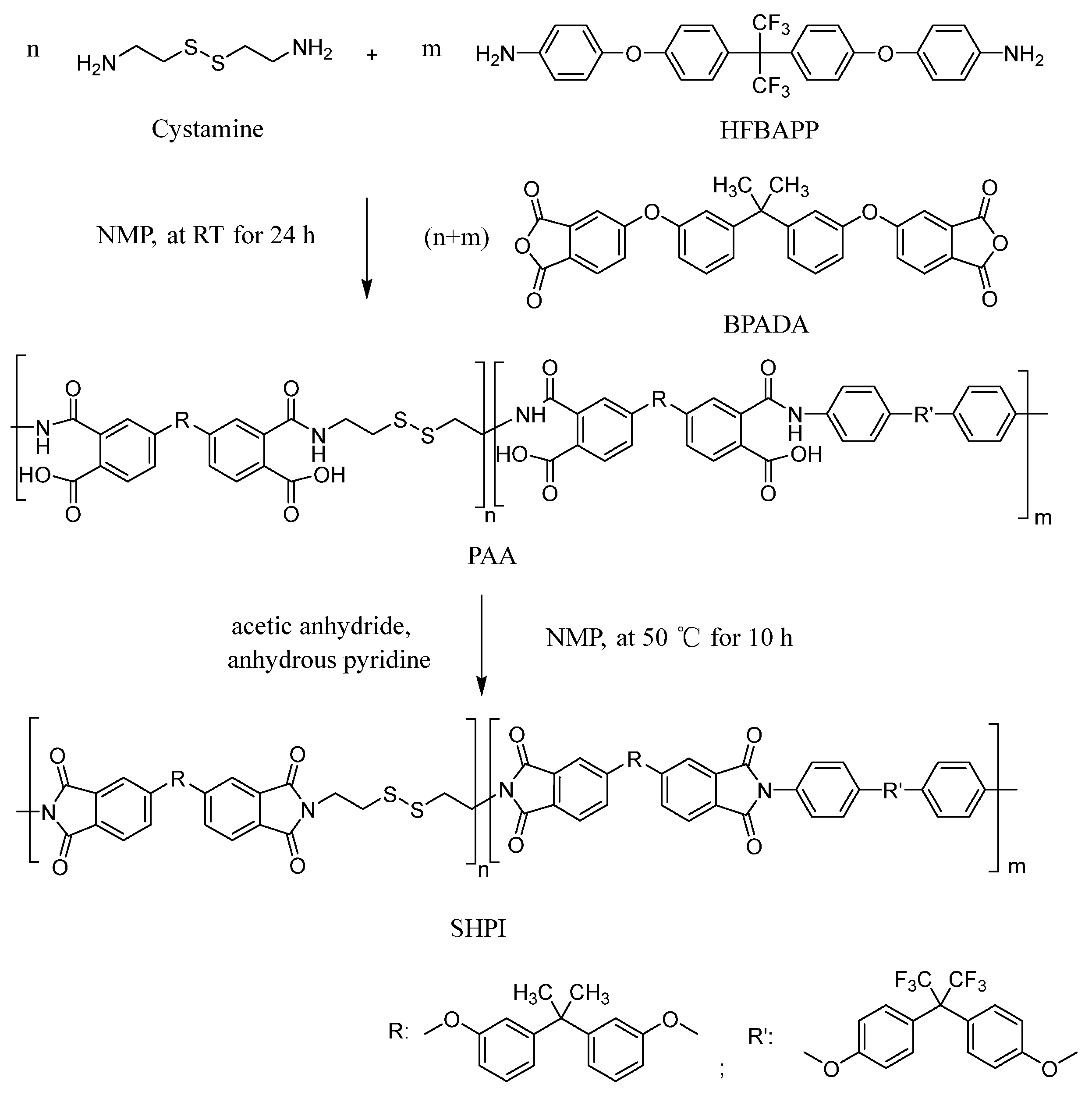Polymers 16 03461 sch001