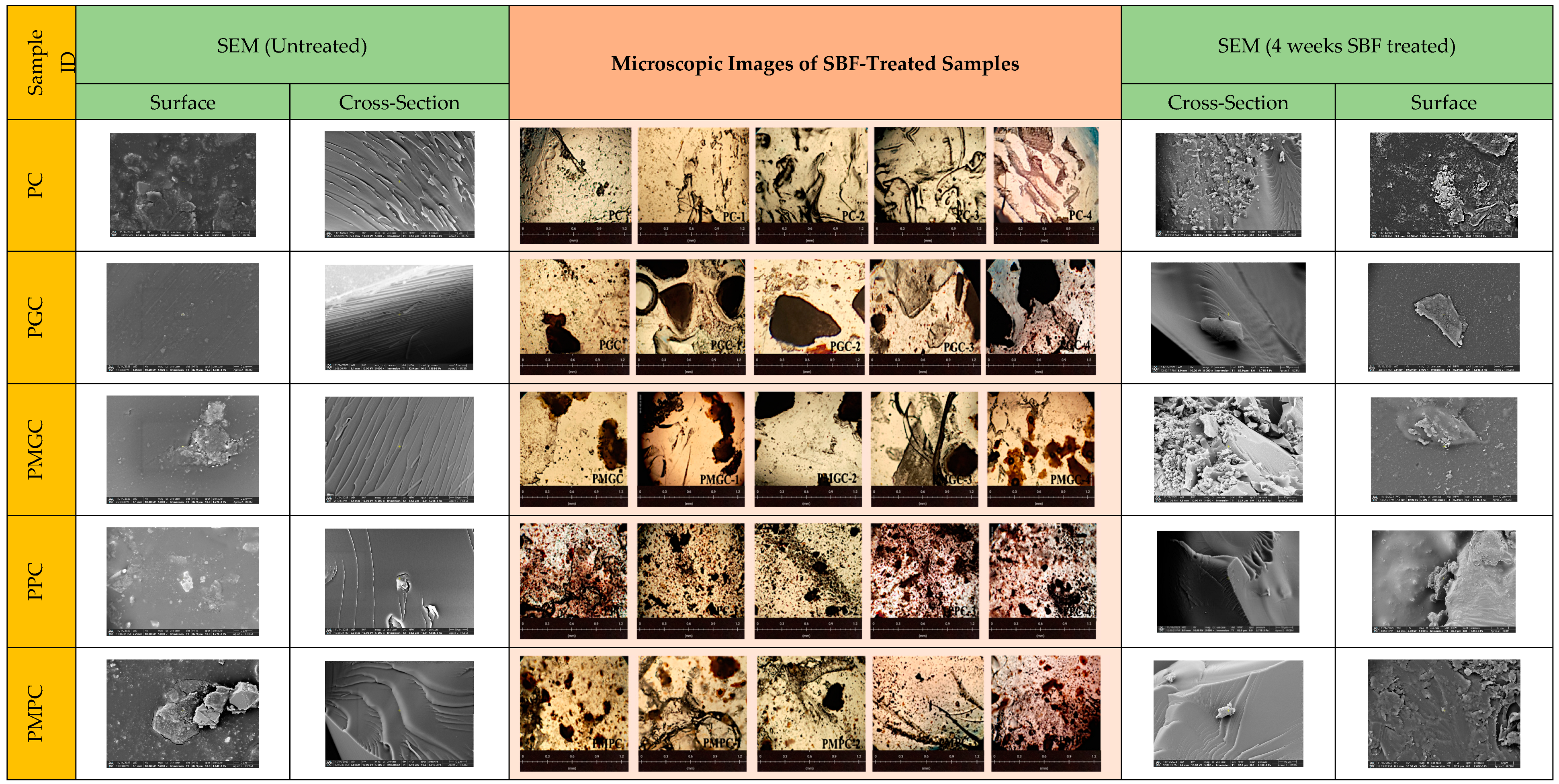 Polymers 16 03463 g003