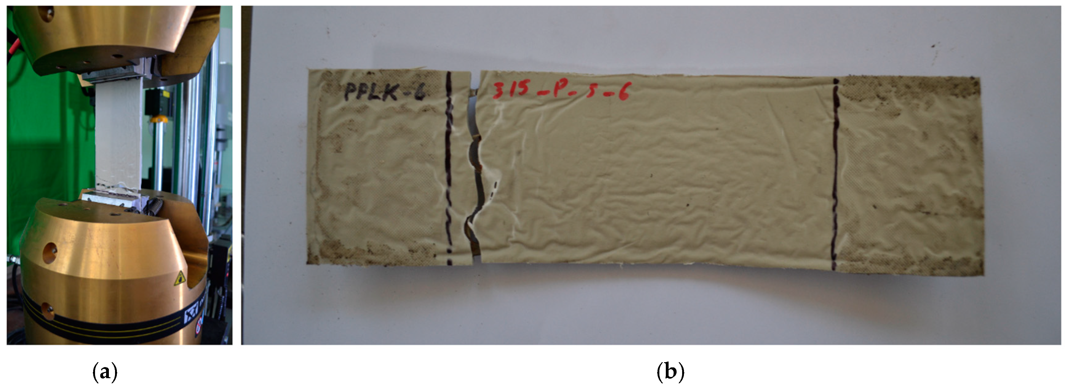 Polymers 16 03468 g006
