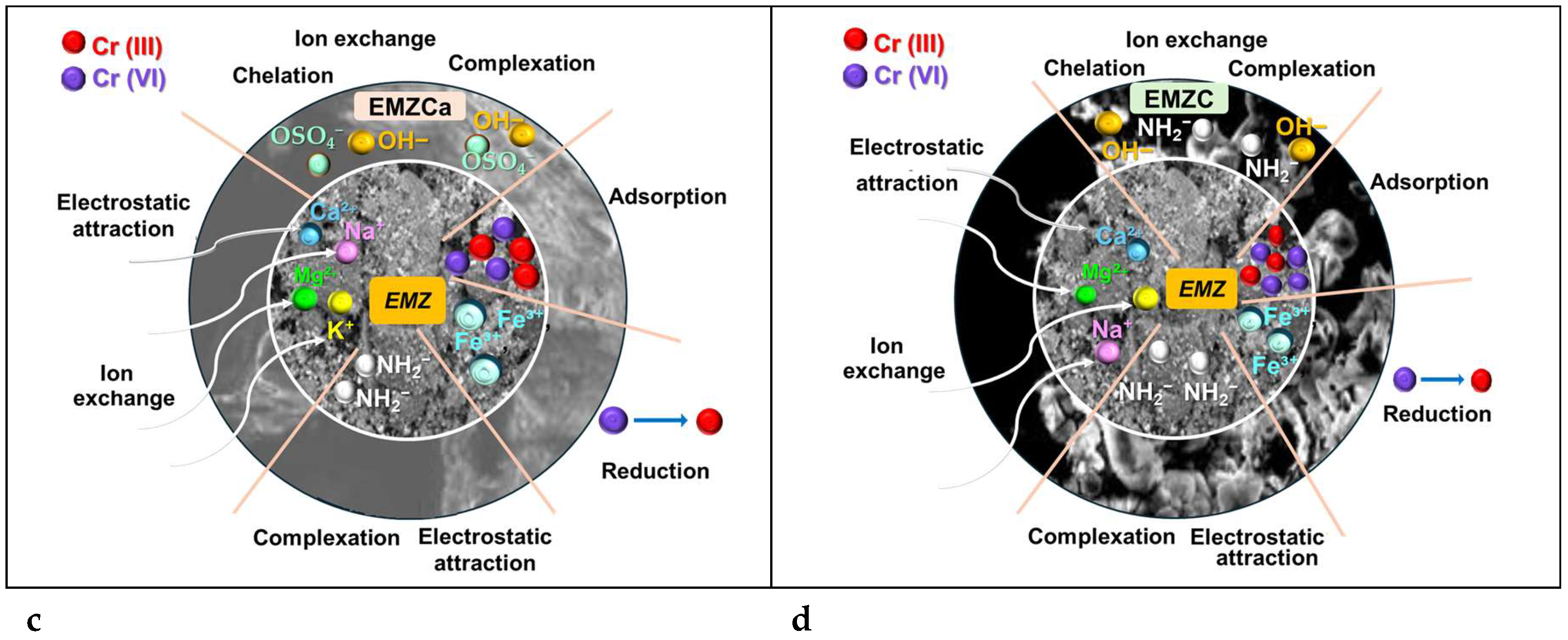 Polymers 16 03469 g019b