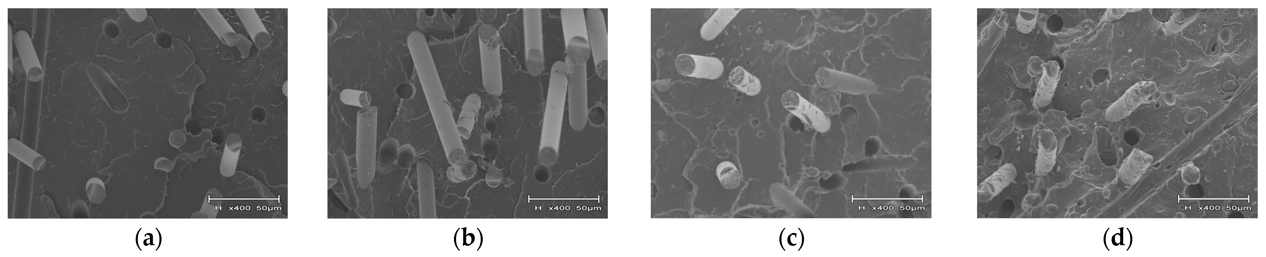 Polymers 16 03472 g018a