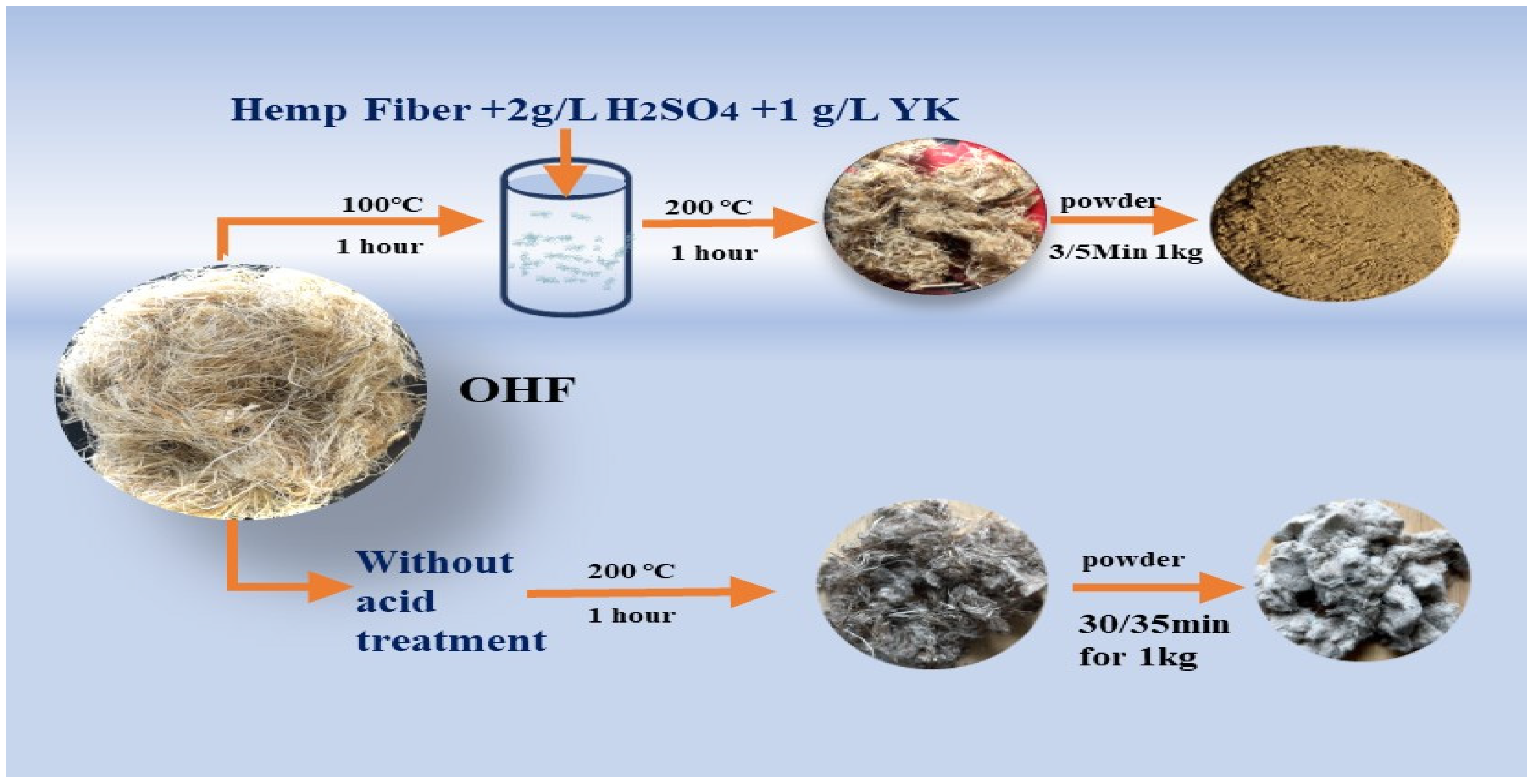 Polymers 16 03473 g001