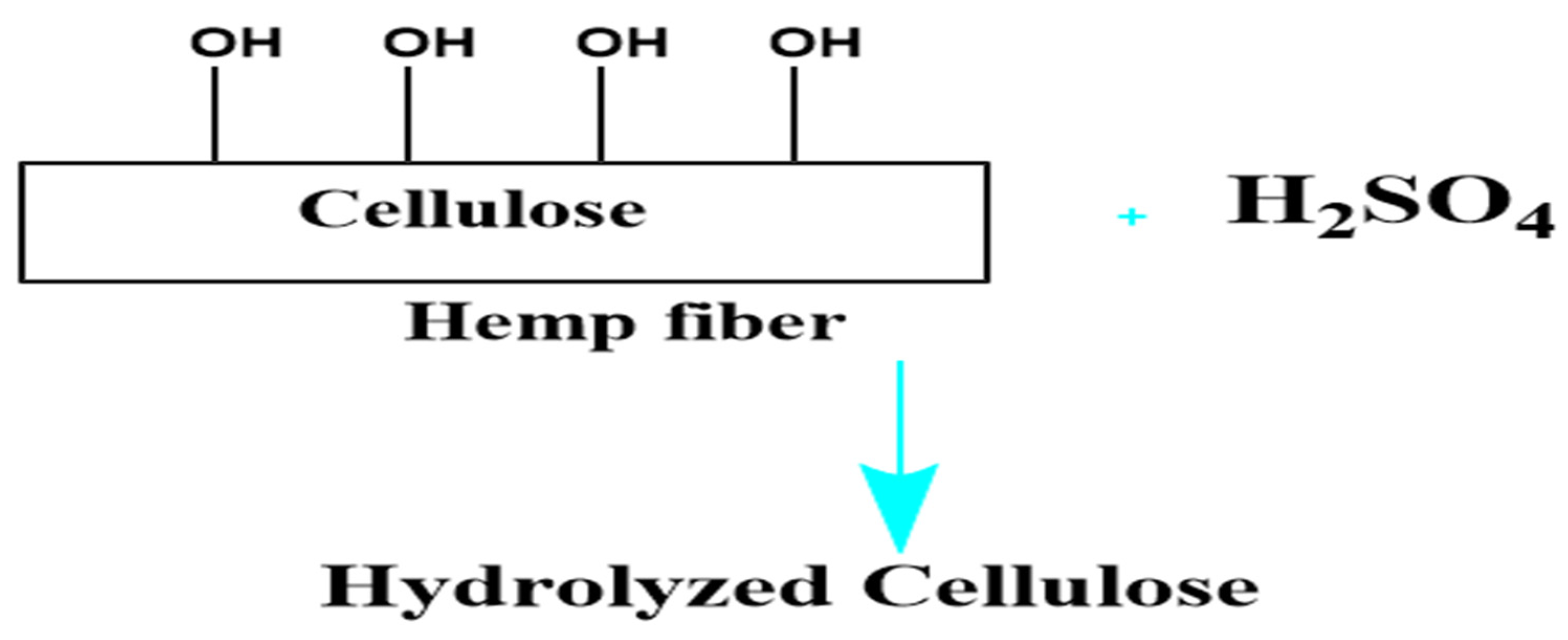 Polymers 16 03473 g002
