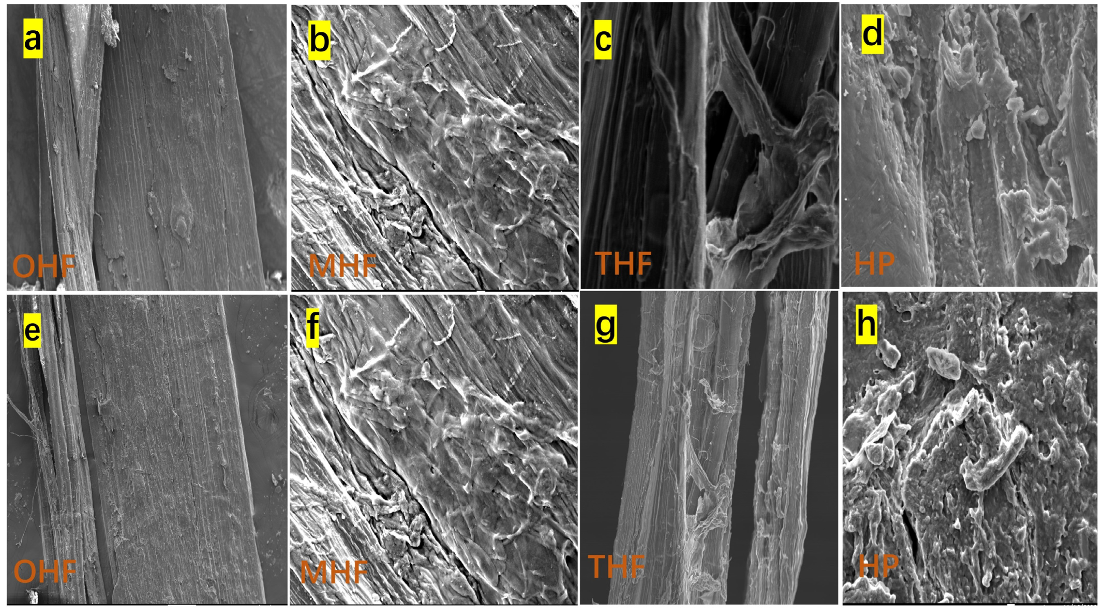 Polymers 16 03473 g003