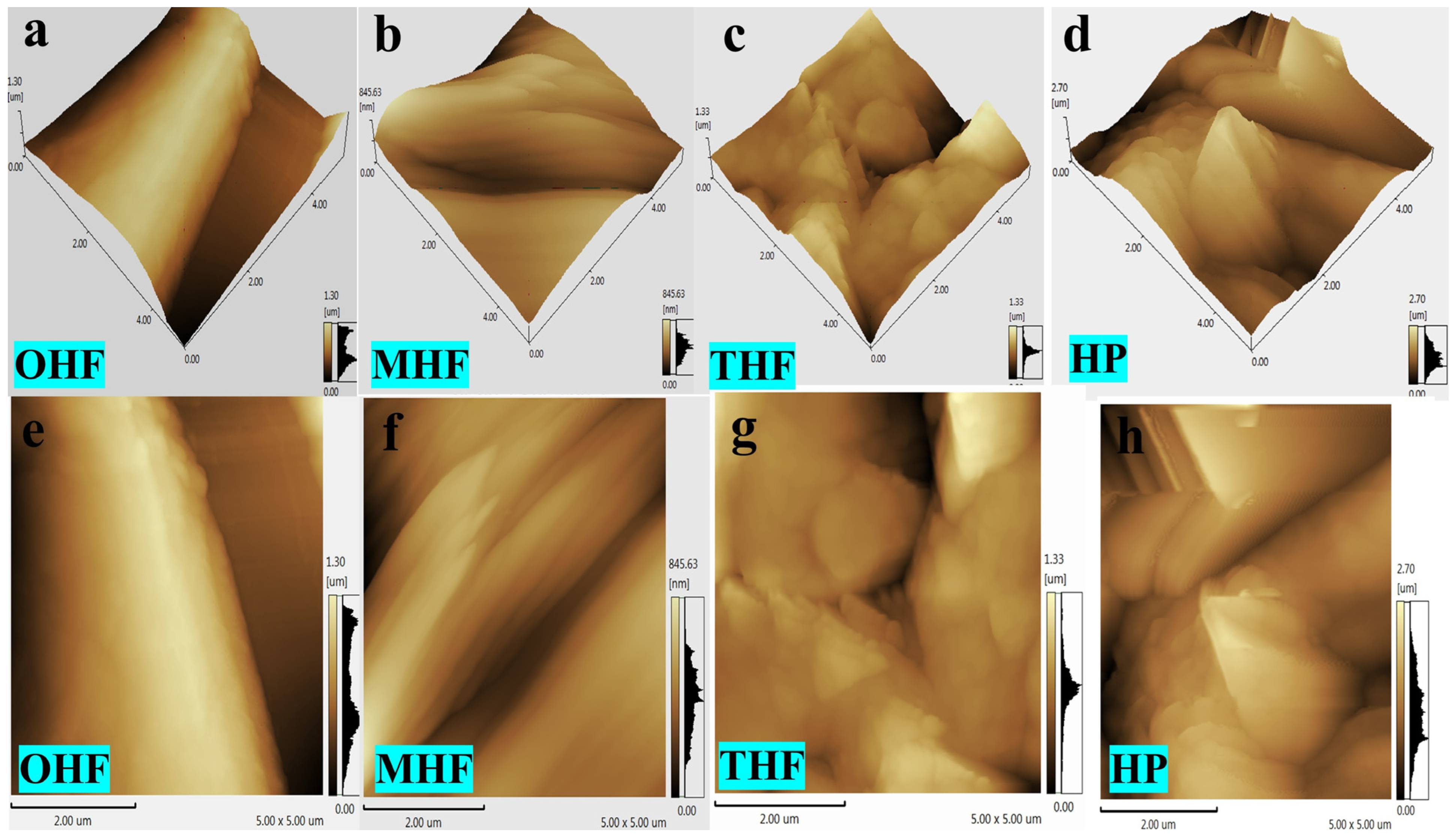 Polymers 16 03473 g004