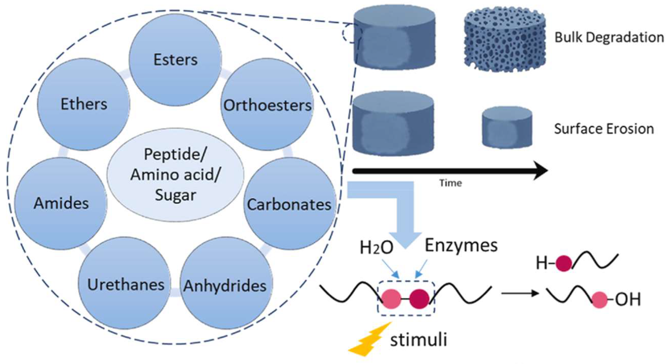 Polymers 16 03474 g001