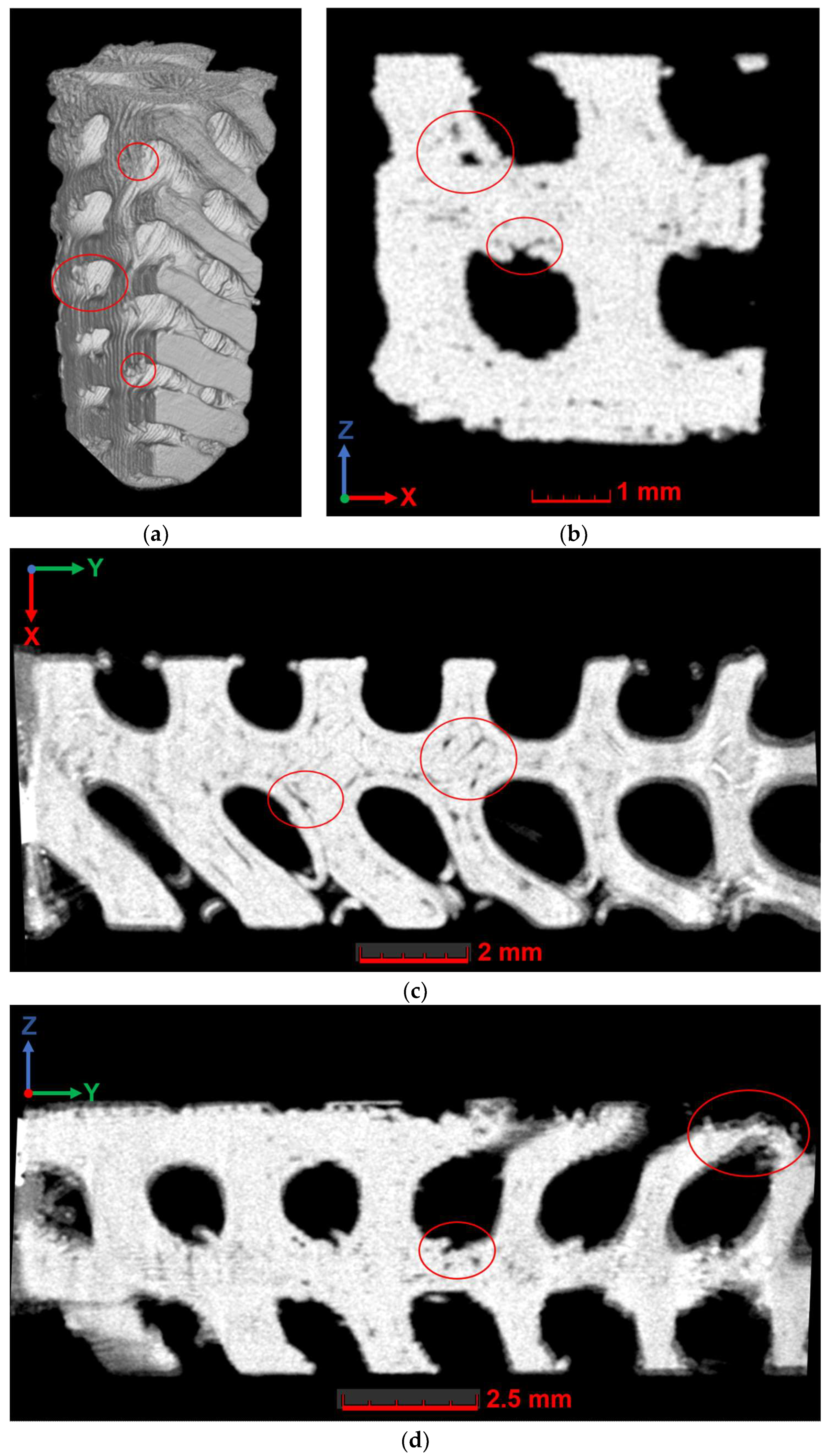 Polymers 16 03474 g009