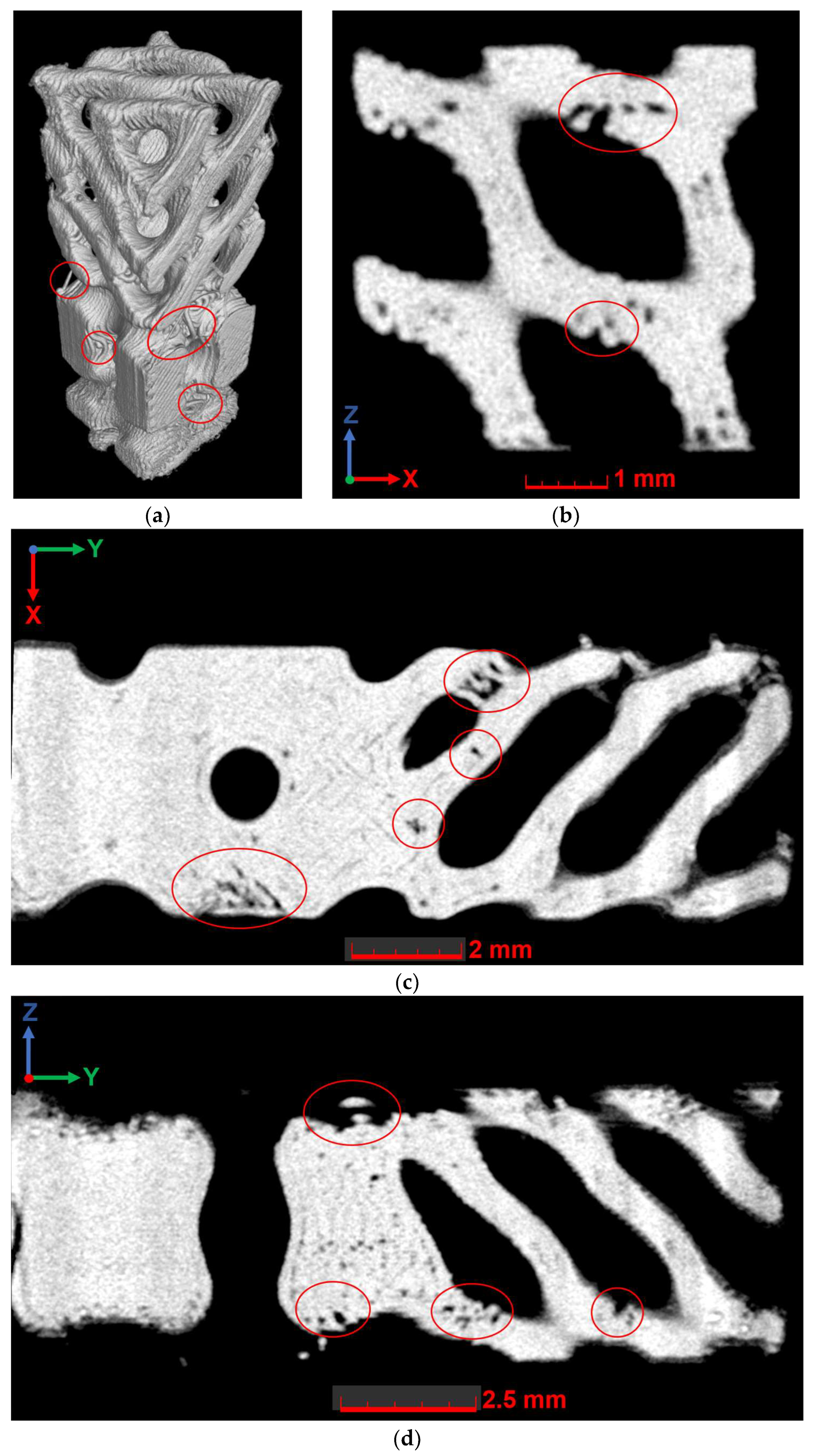Polymers 16 03474 g010