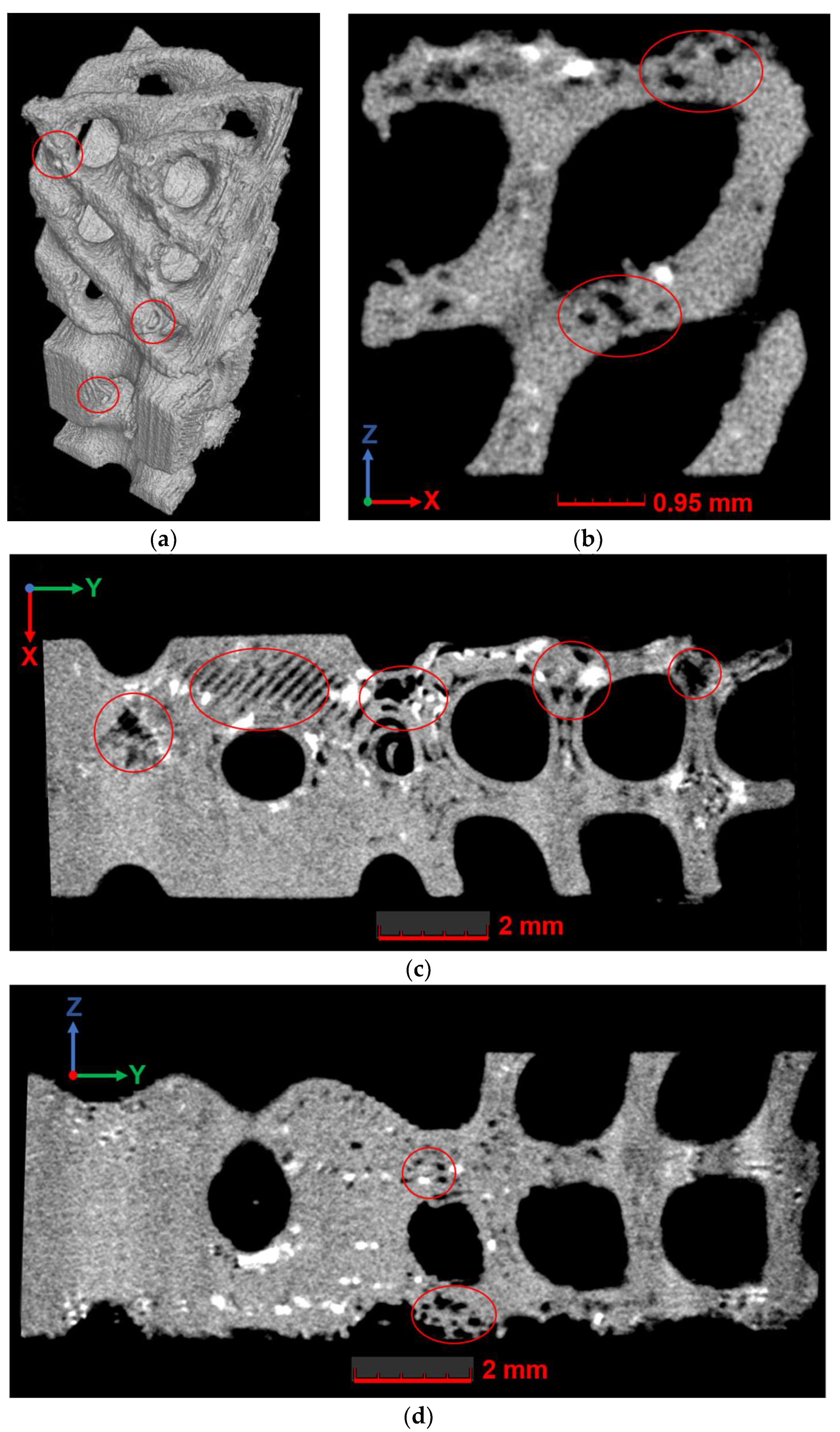 Polymers 16 03474 g011