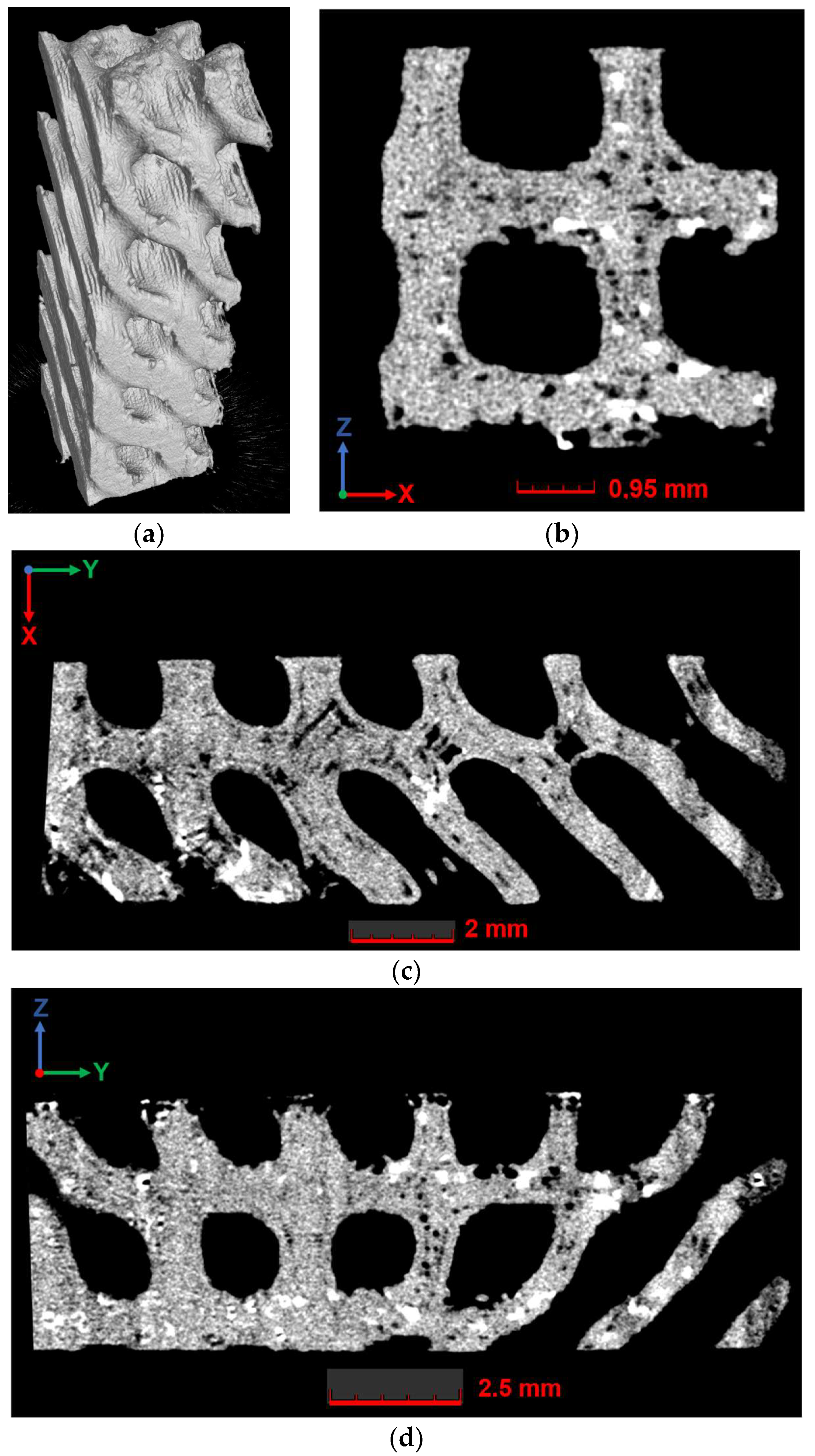 Polymers 16 03474 g0a6