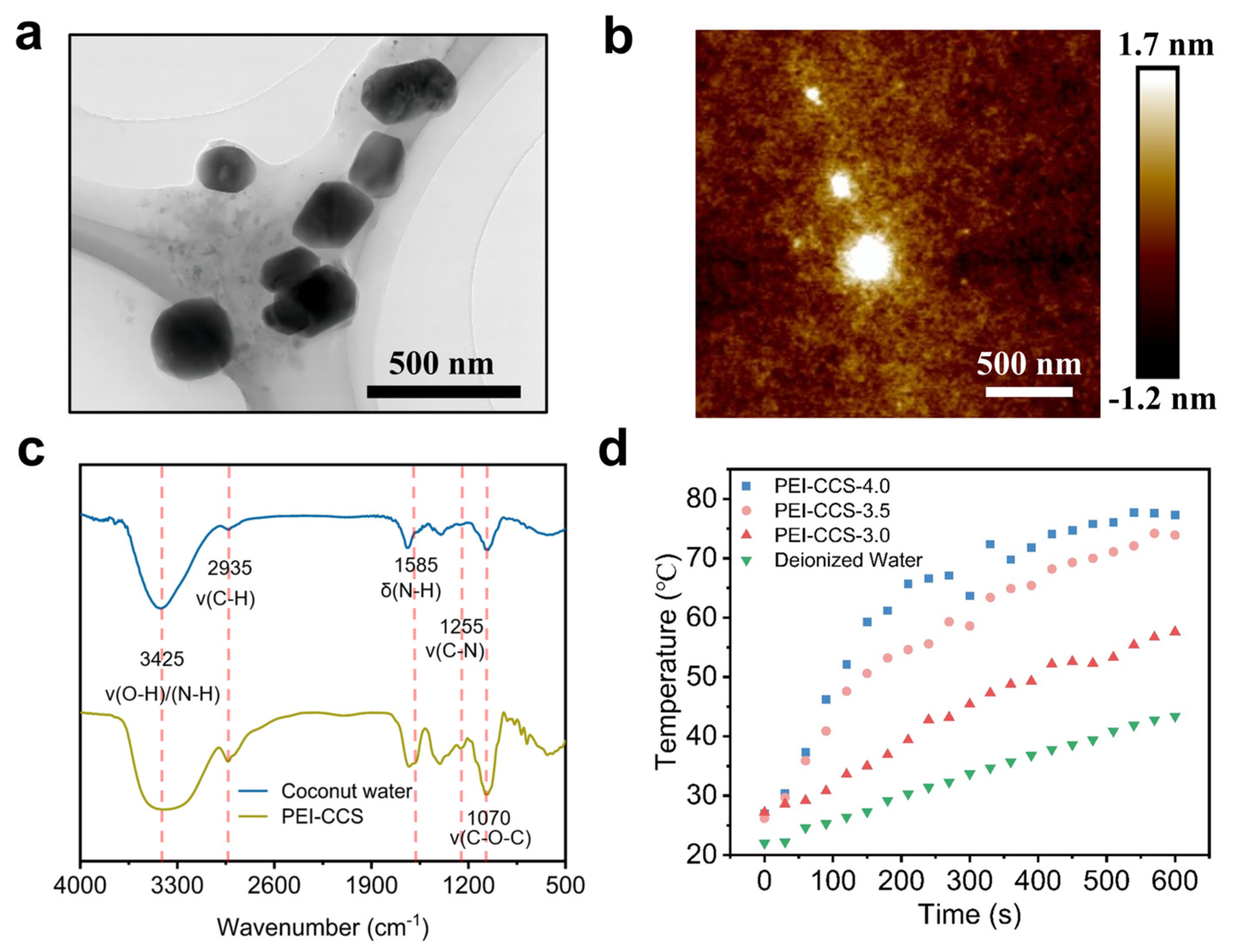 Polymers 16 03476 g001