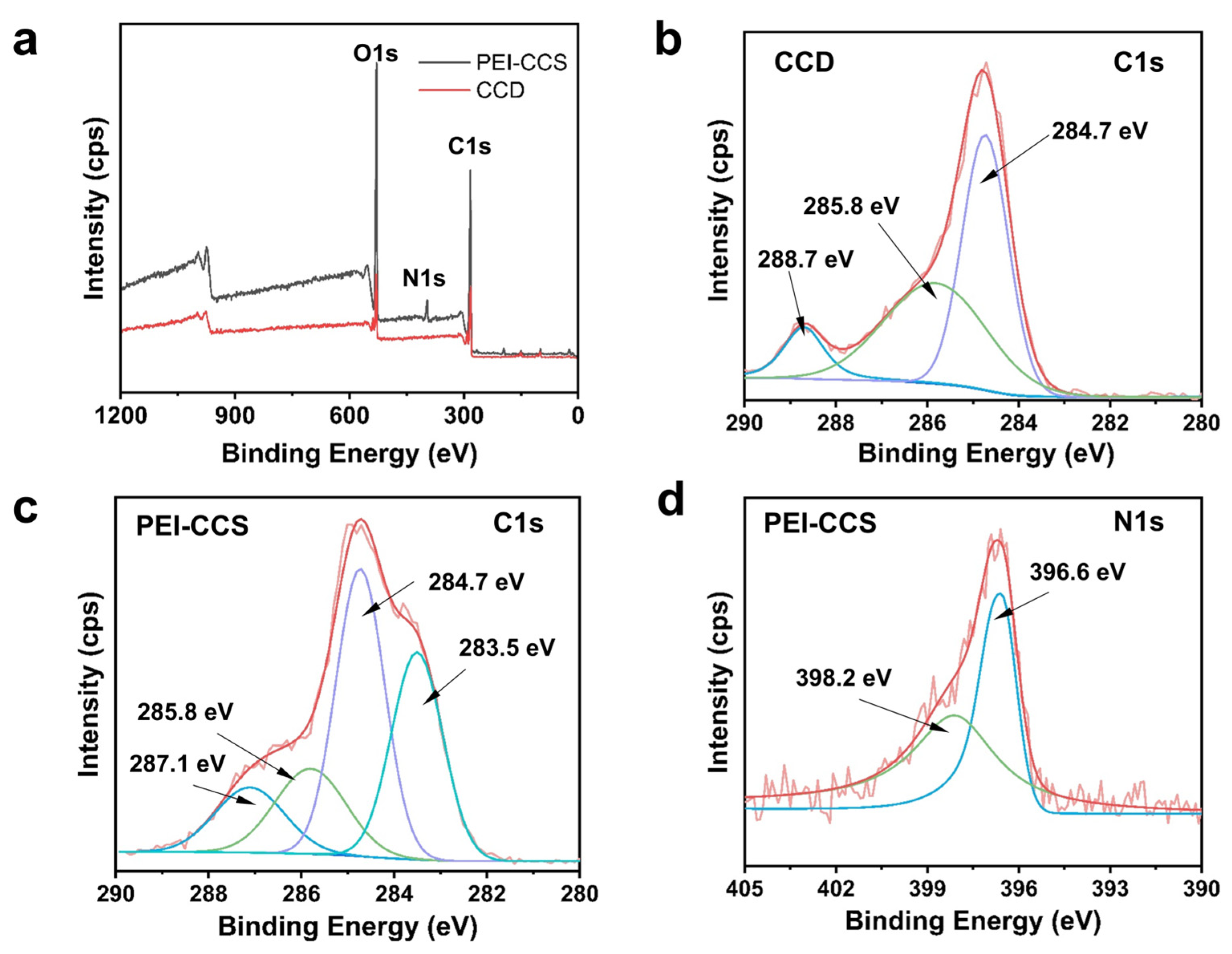 Polymers 16 03476 g002