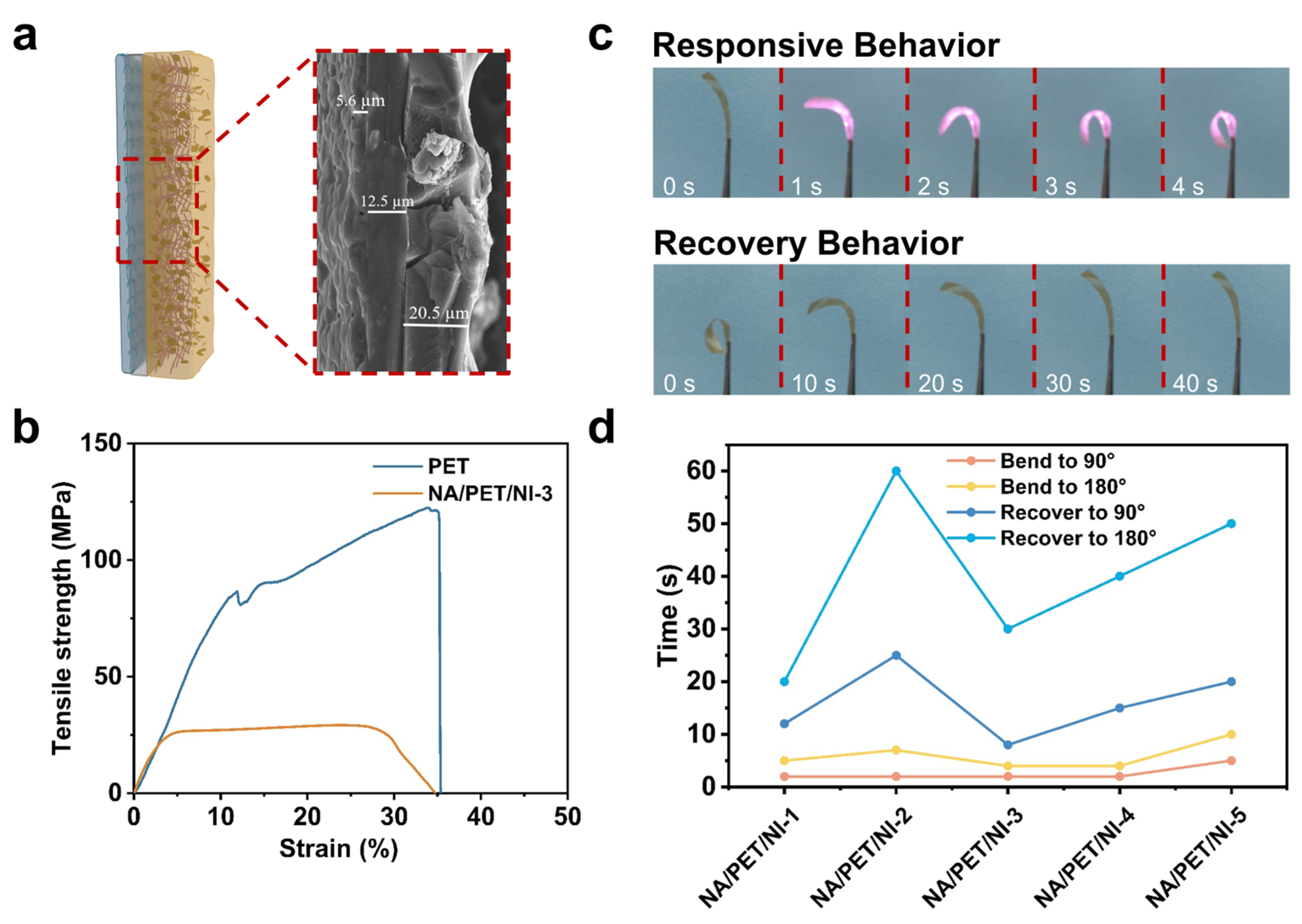 Polymers 16 03476 g003