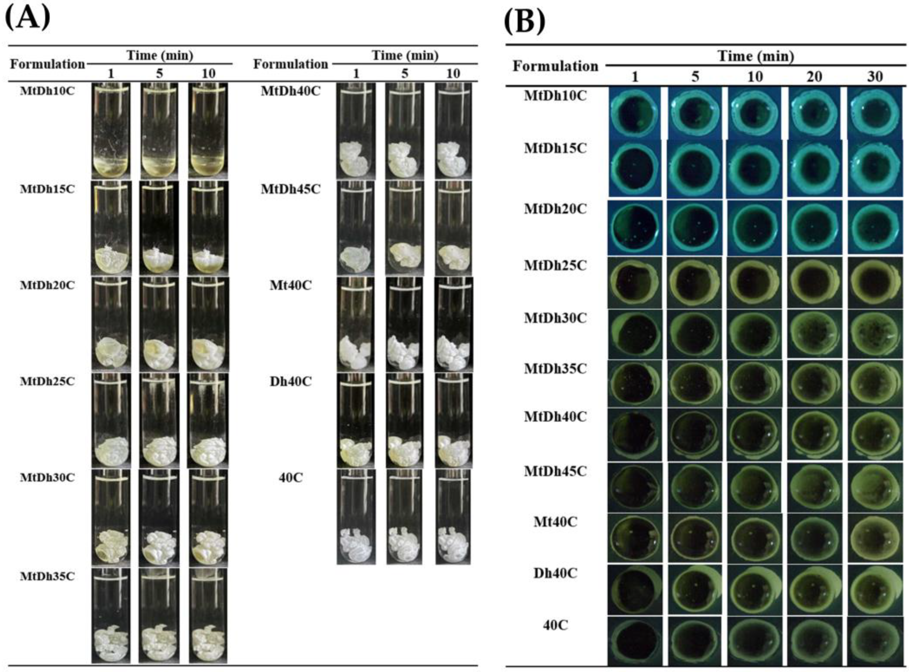 Polymers 16 03477 g004
