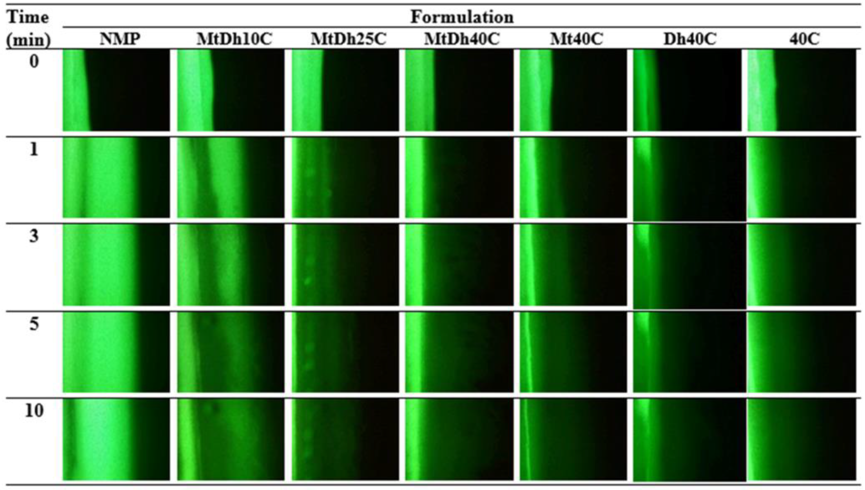 Polymers 16 03477 g006
