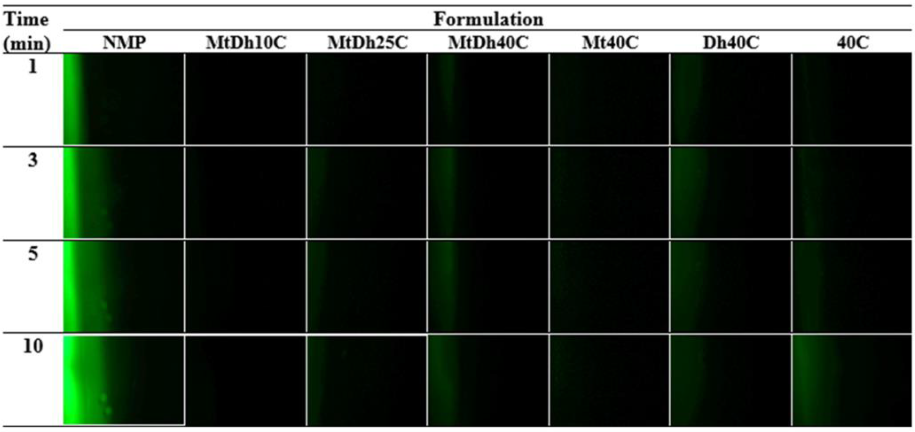Polymers 16 03477 g007