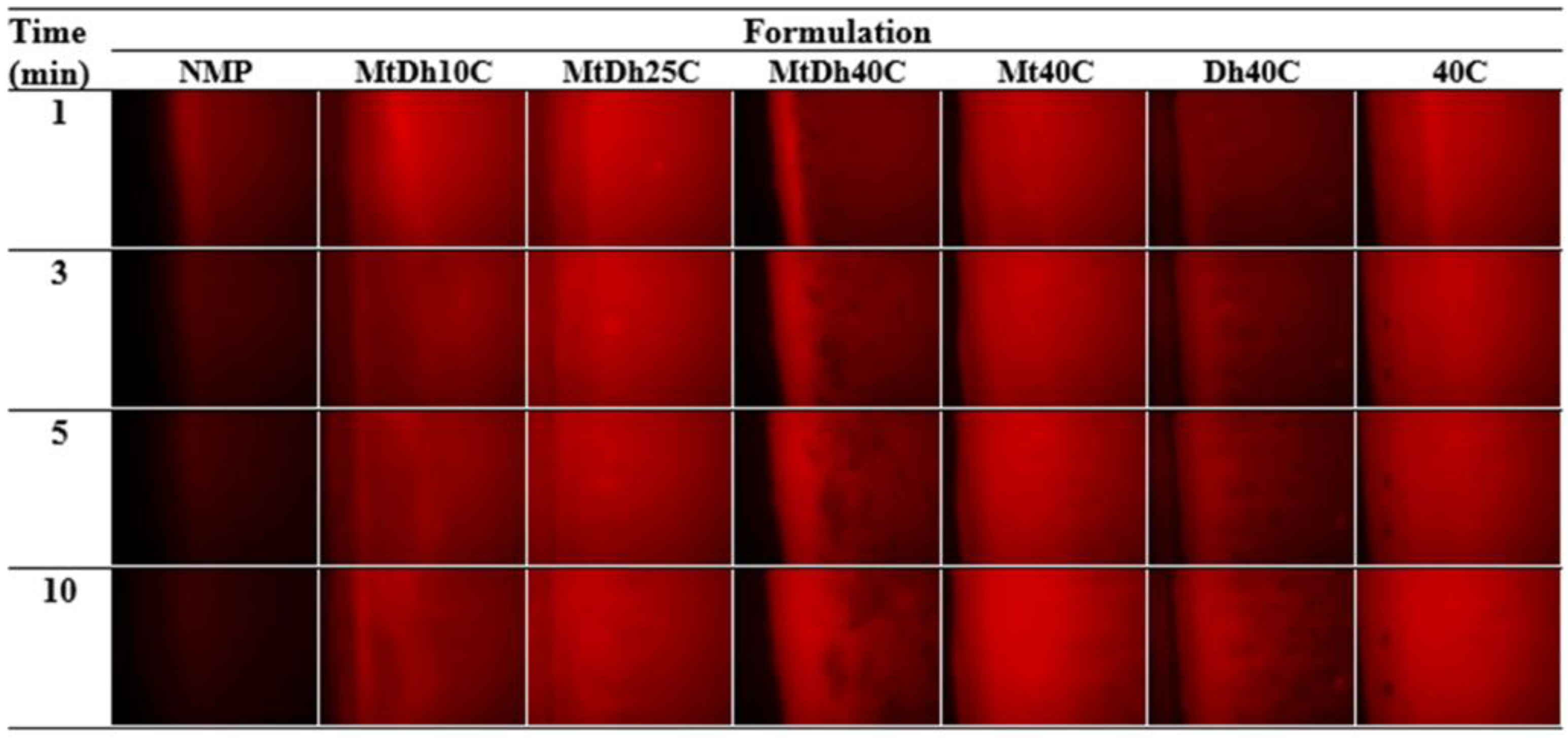 Polymers 16 03477 g008