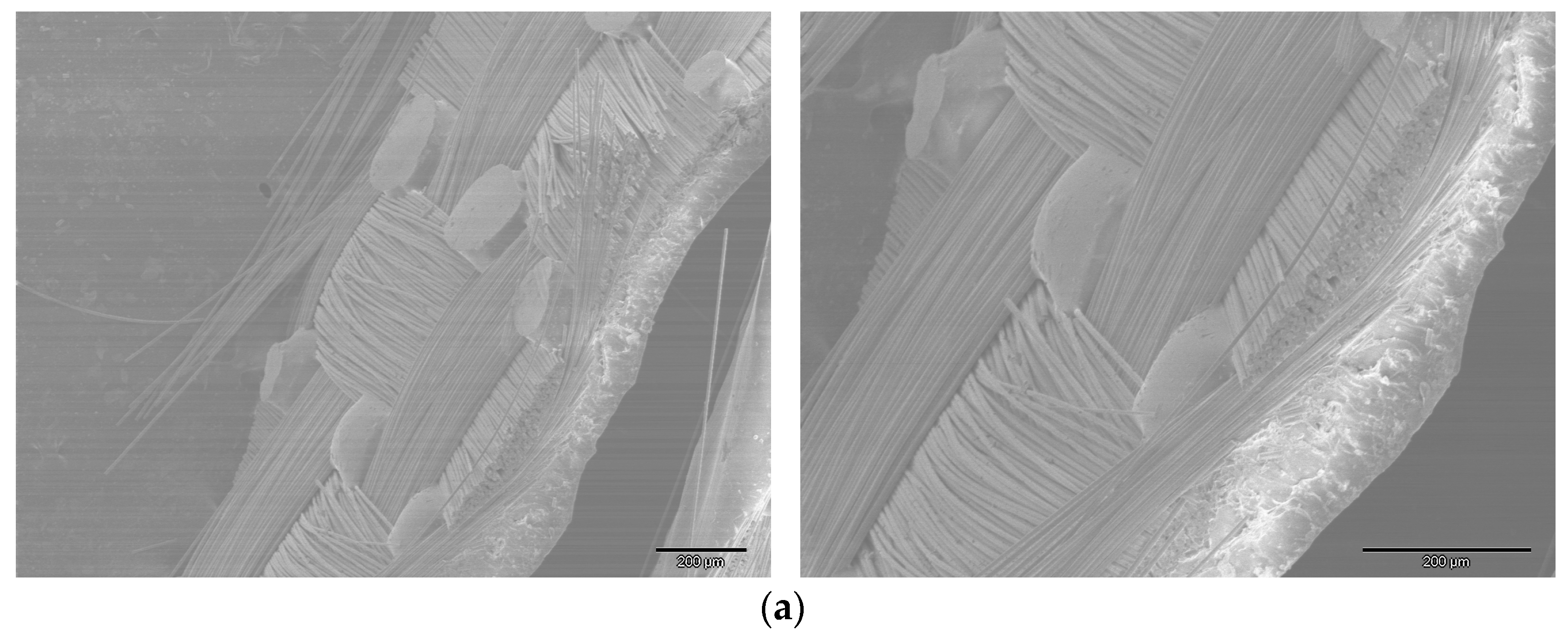 Polymers 16 03478 g012a