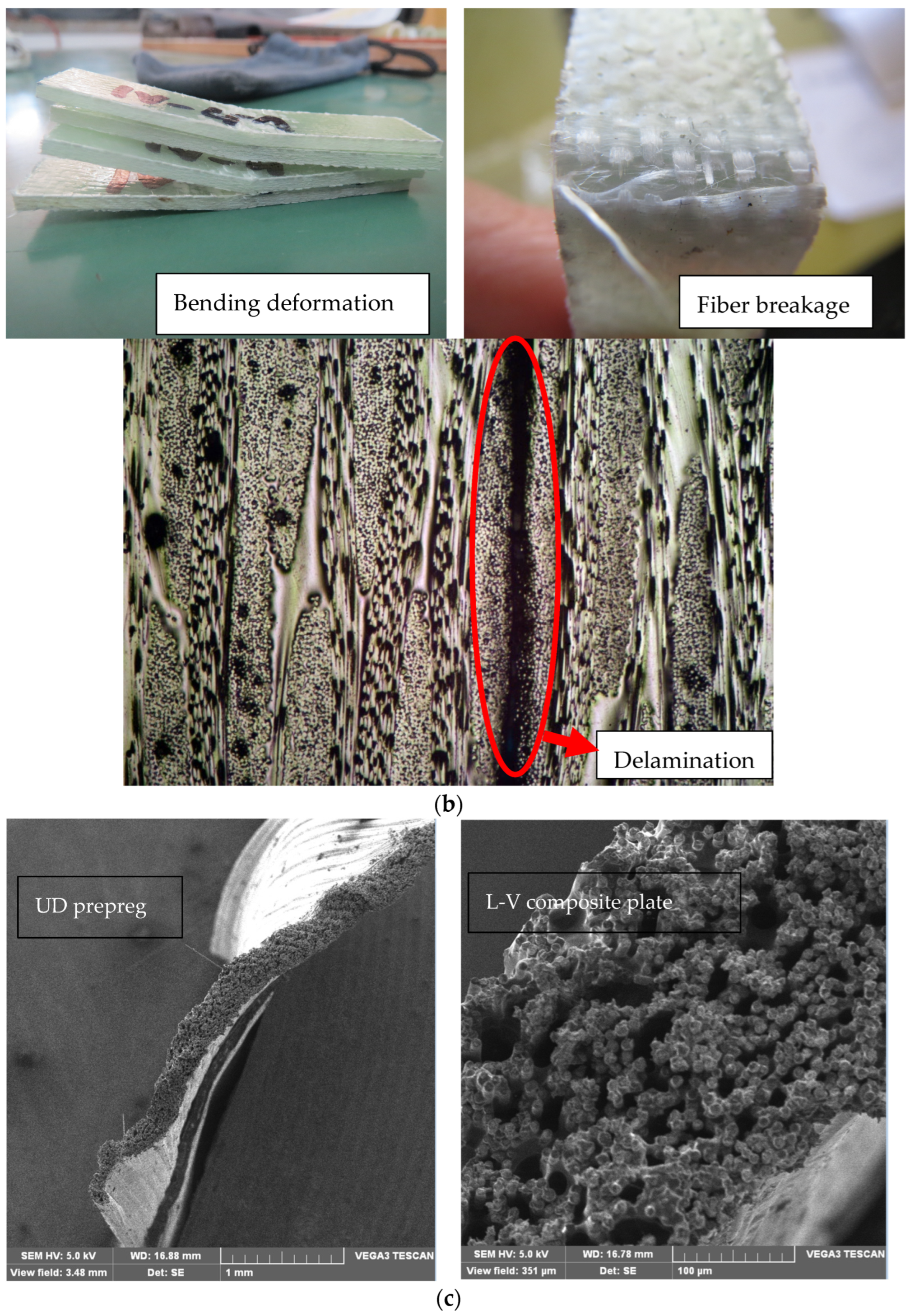 Polymers 16 03478 g012b