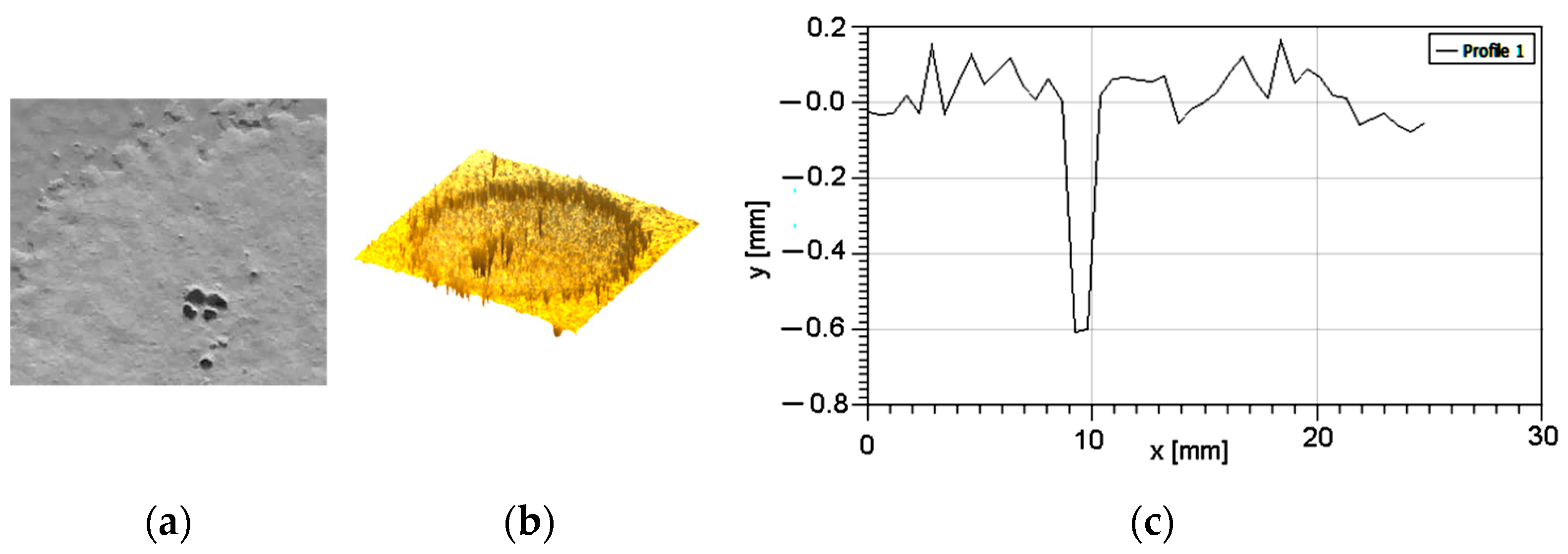 Polymers 16 03483 g007