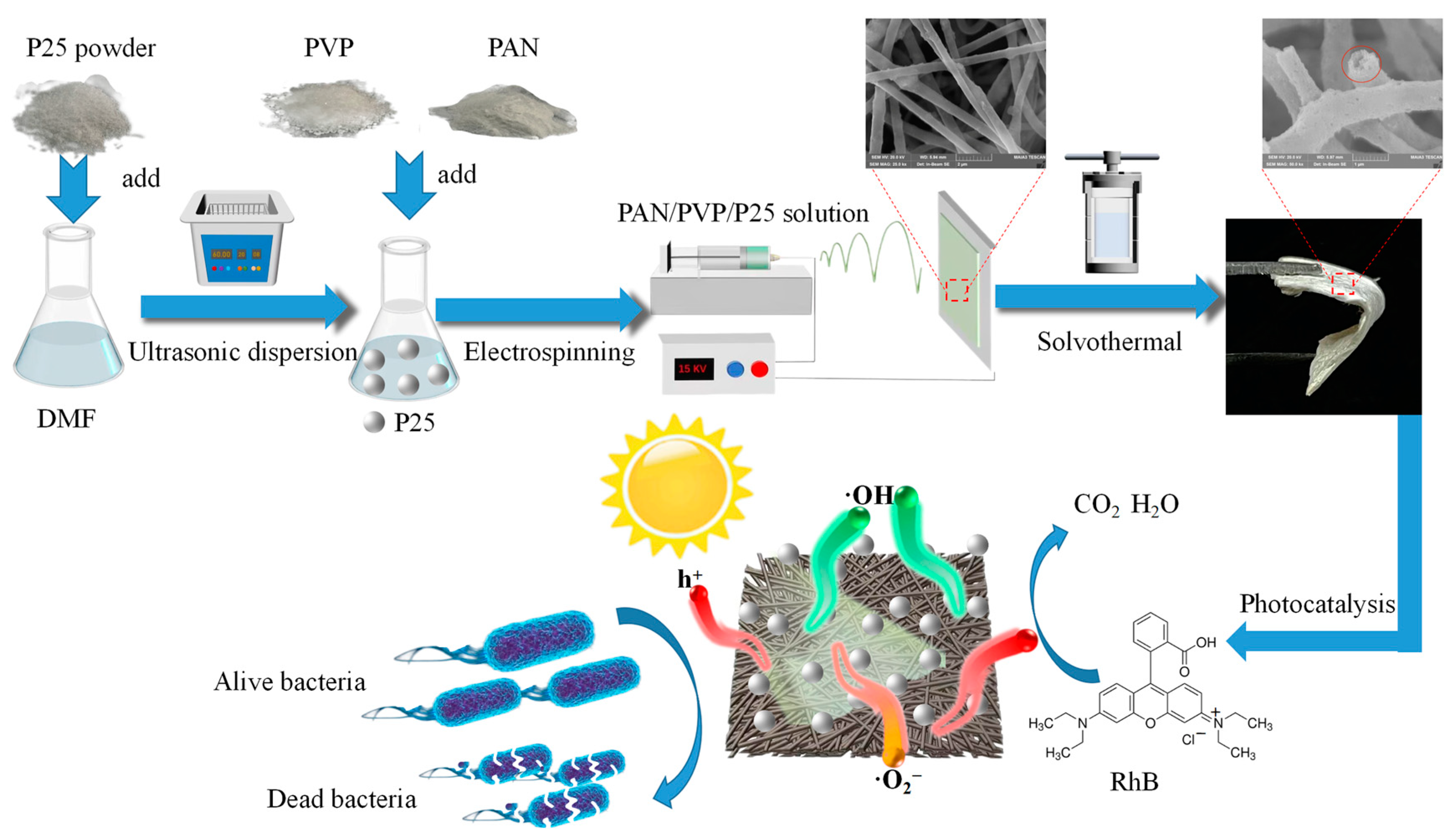 Polymers 16 03484 g001