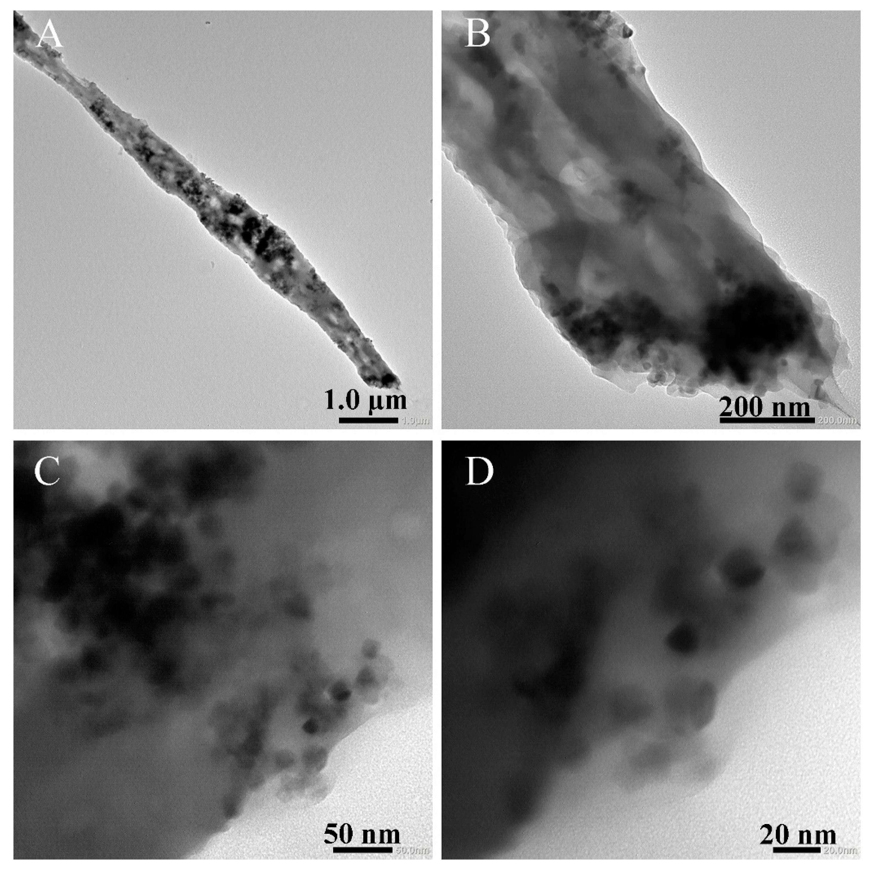 Polymers 16 03484 g004