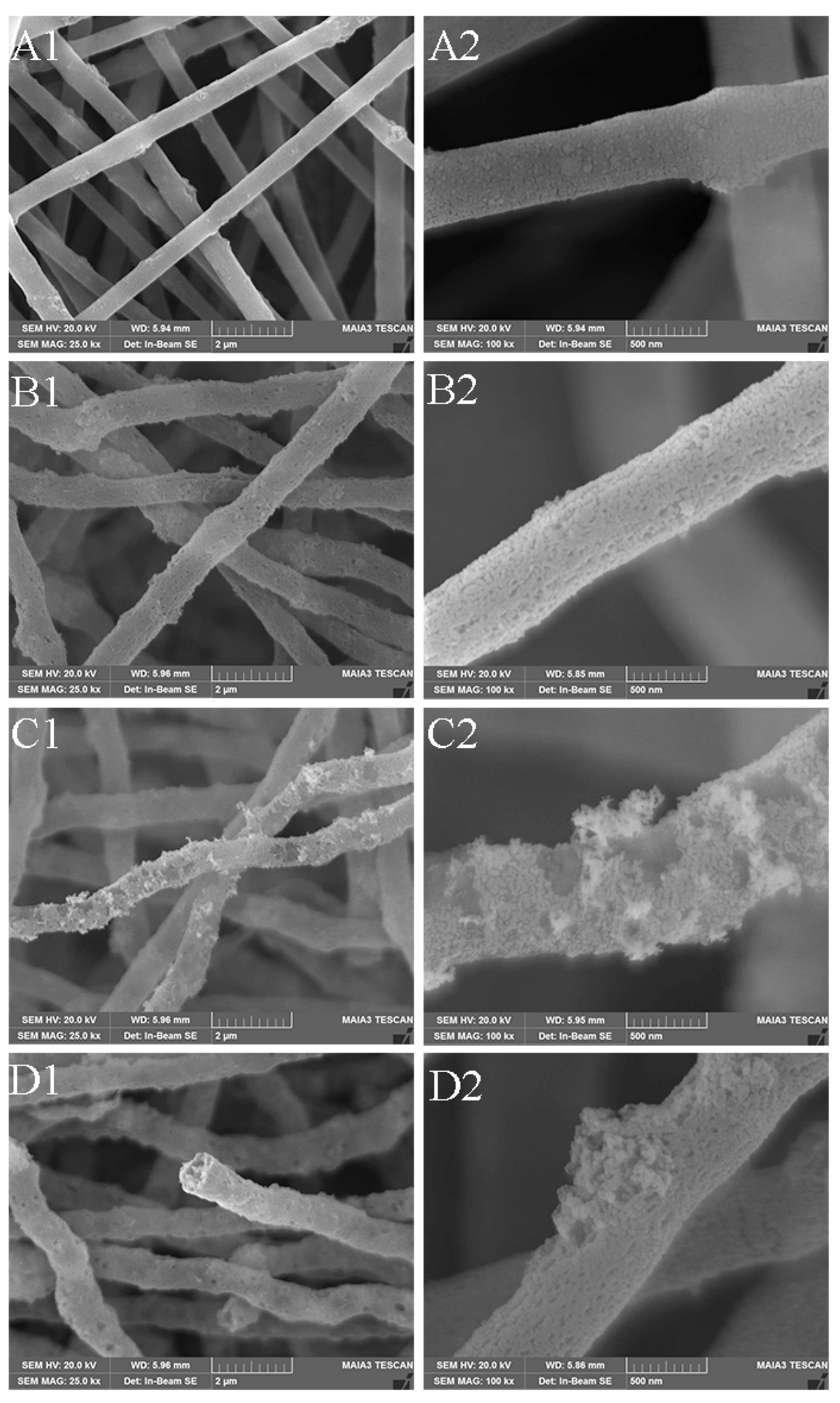 Polymers 16 03484 g005