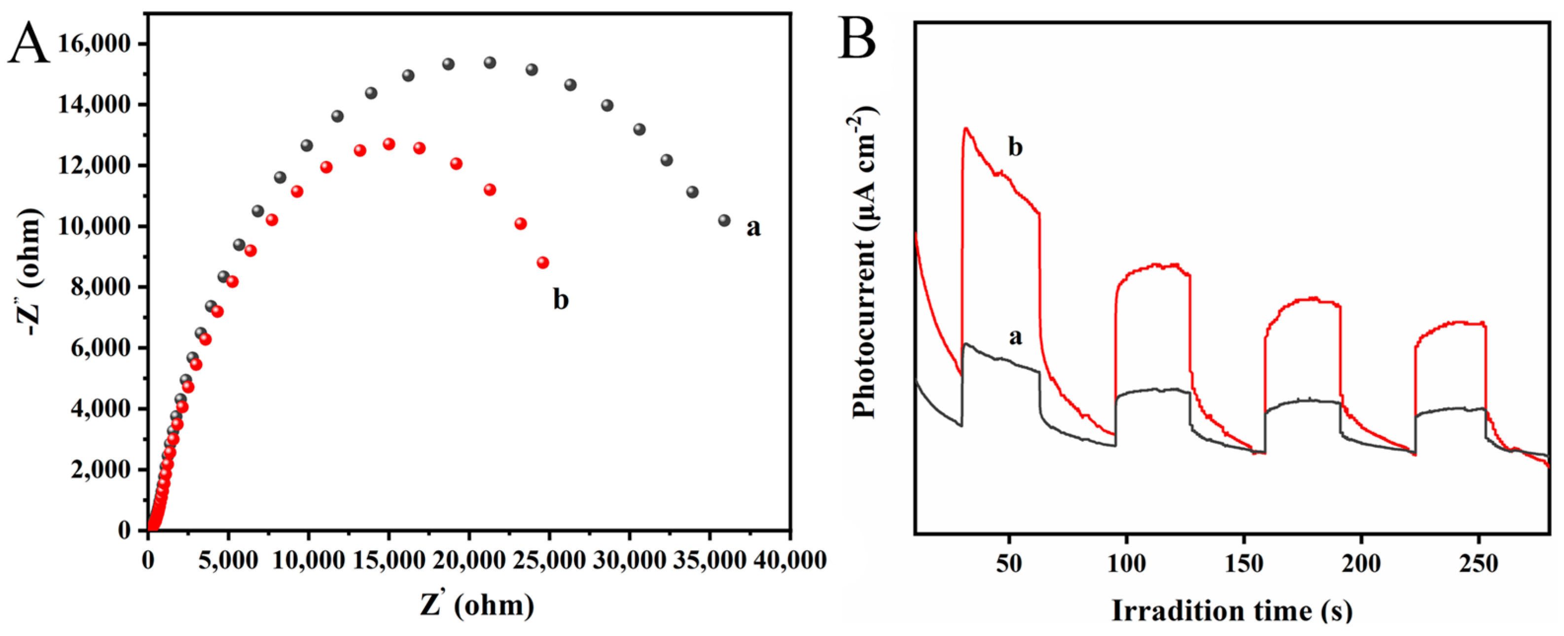 Polymers 16 03484 g010