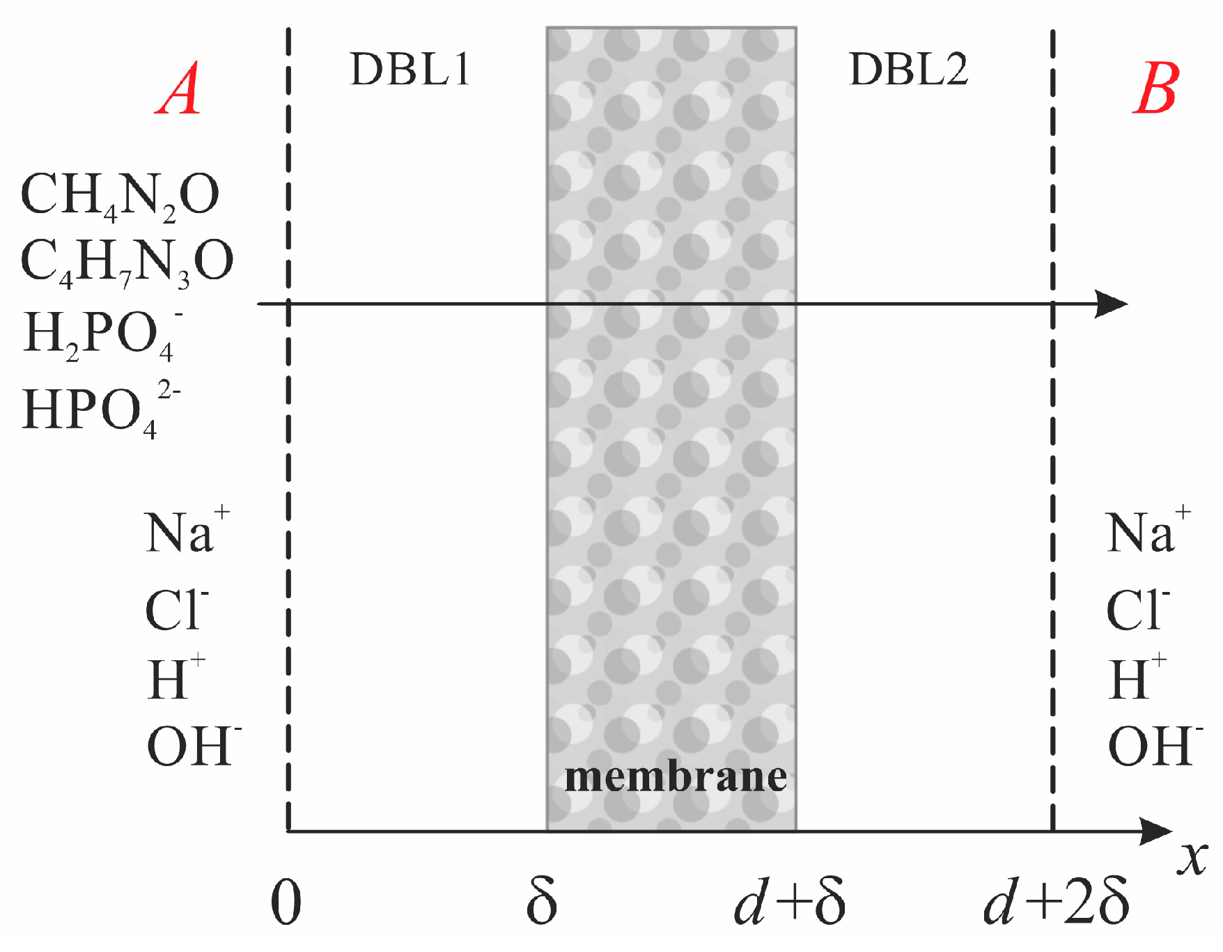 Polymers 16 03491 g001