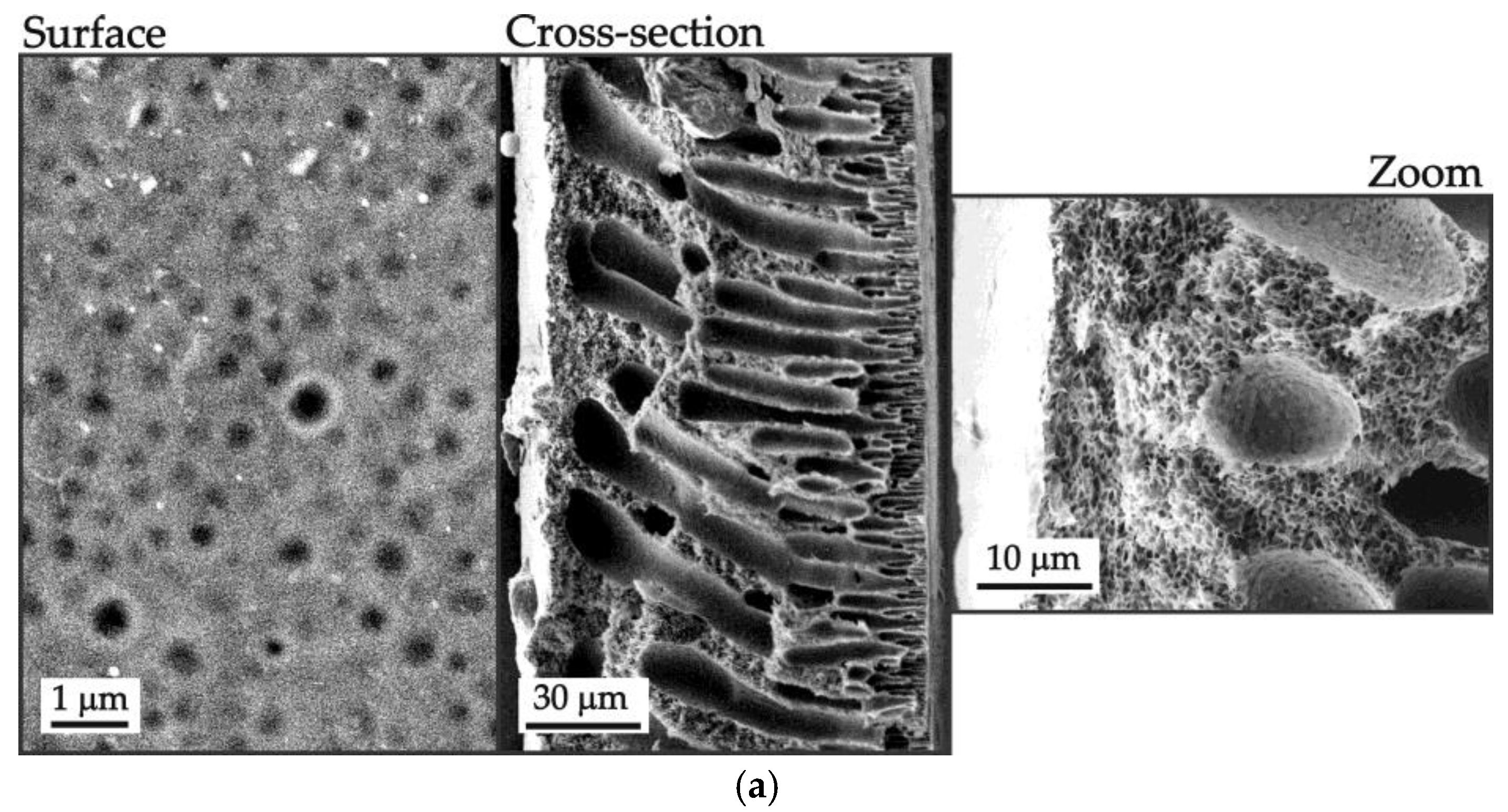 Polymers 16 03491 g008a