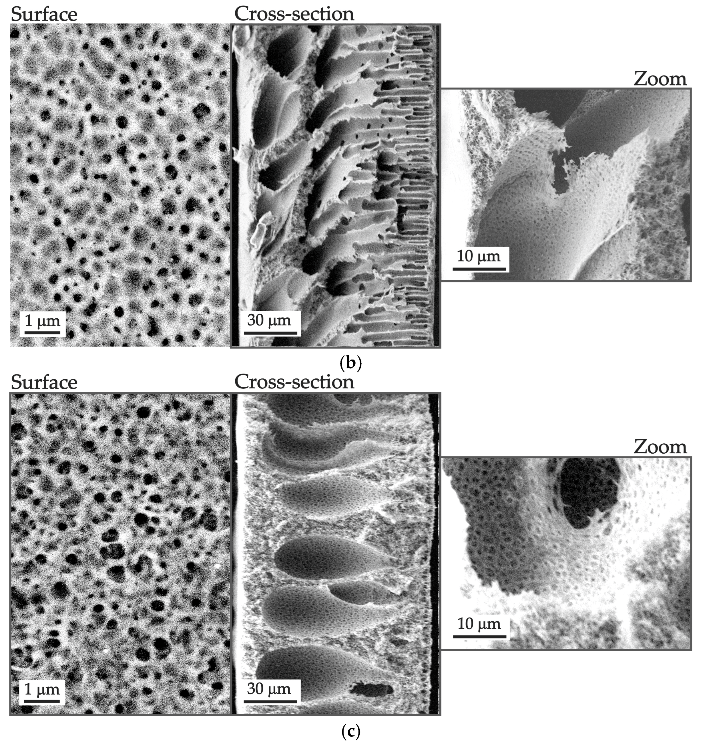 Polymers 16 03491 g008b