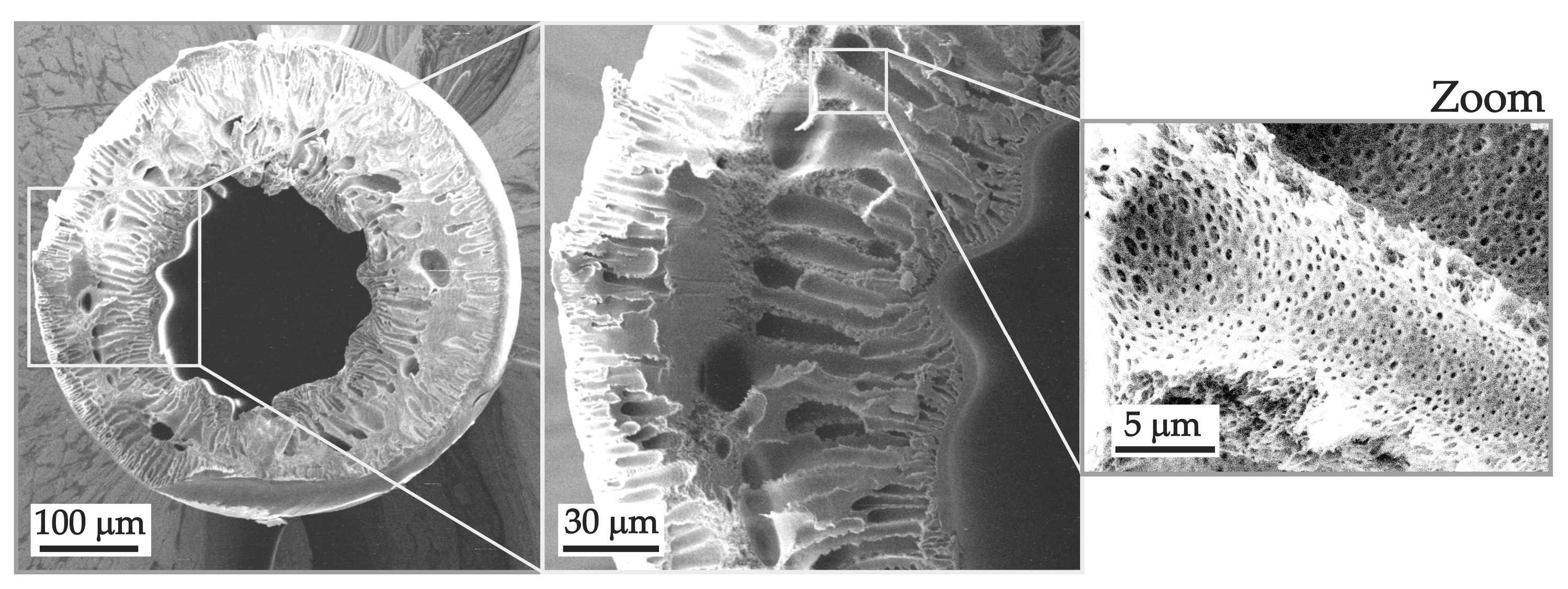 Polymers 16 03491 g009