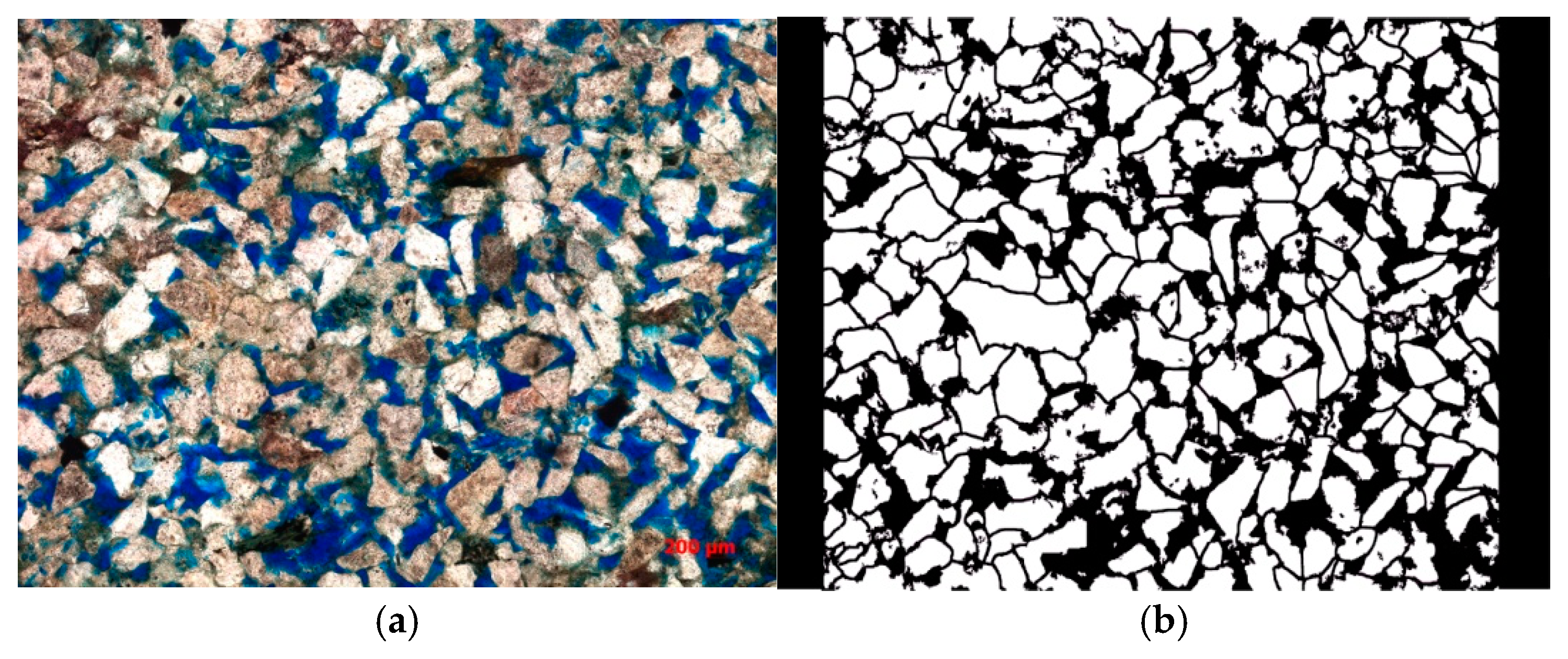 Polymers 16 03494 g005
