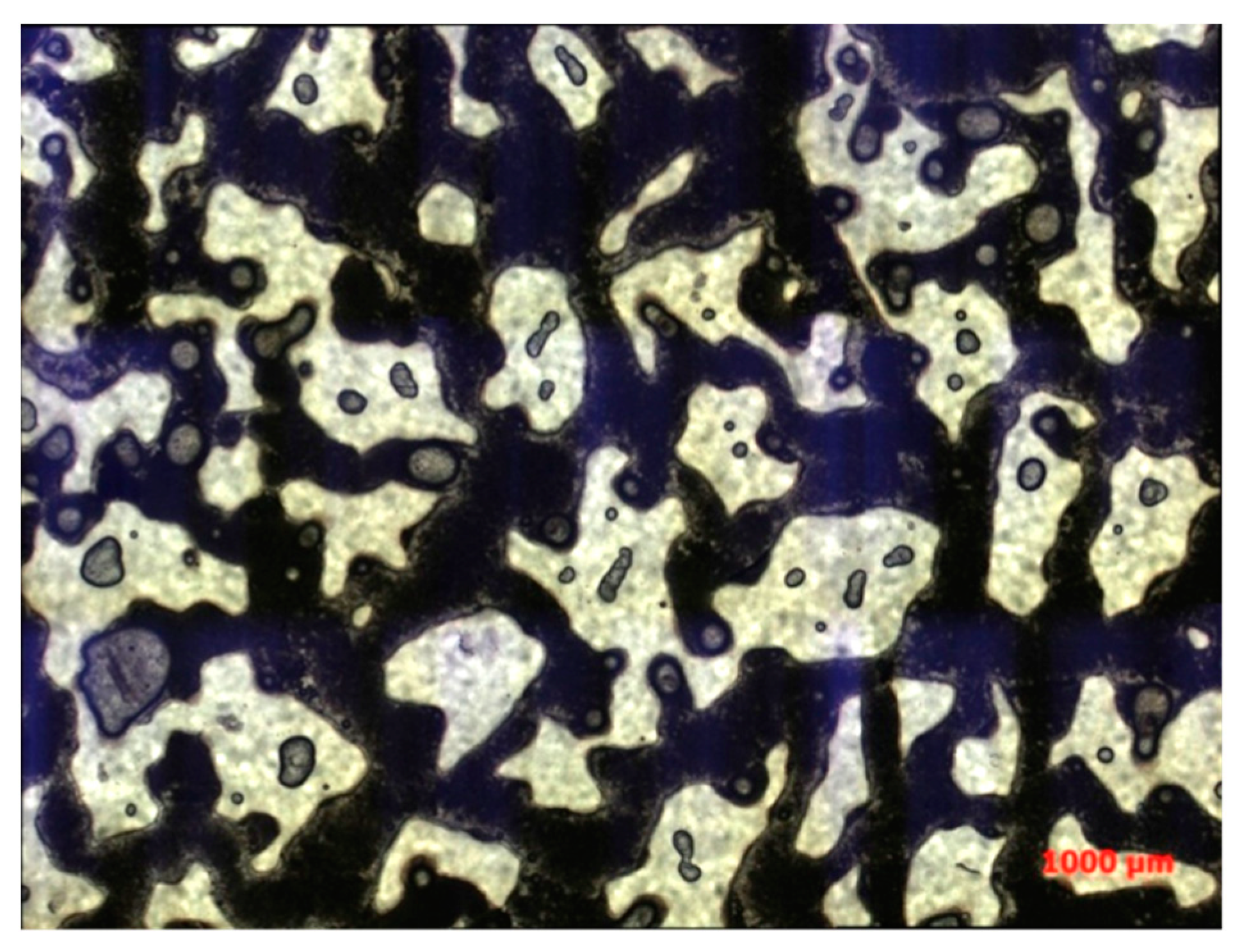 Polymers 16 03494 g007