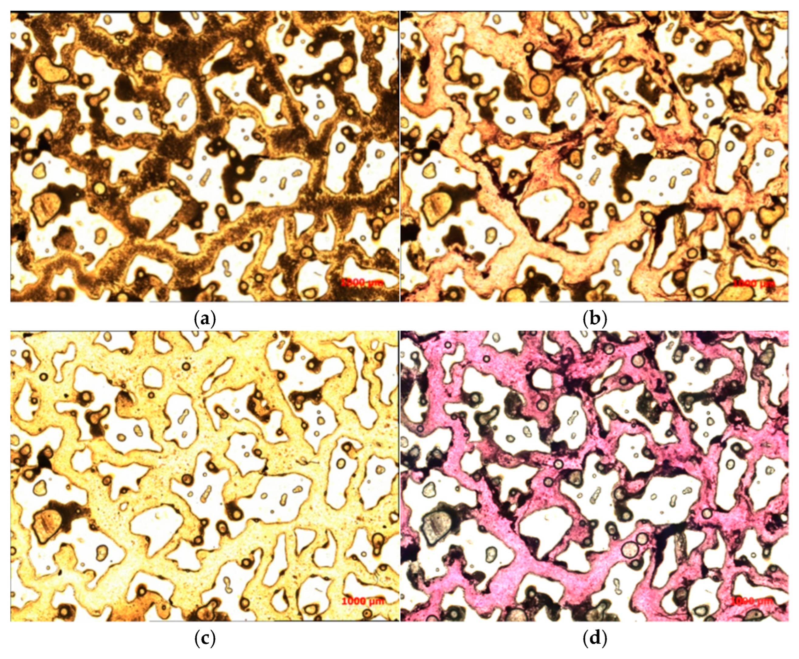 Polymers 16 03494 g008